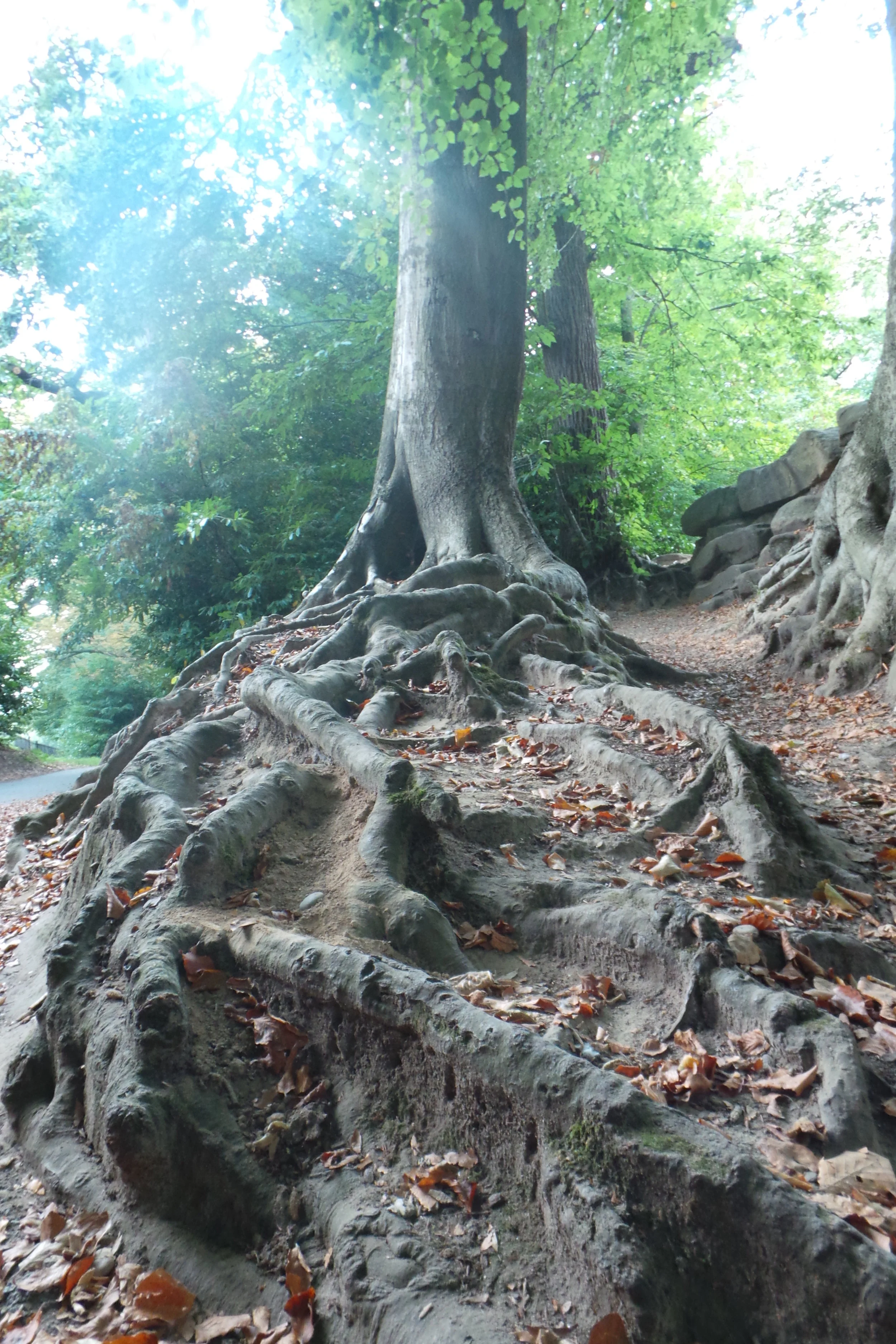 20120101_053335.JPG