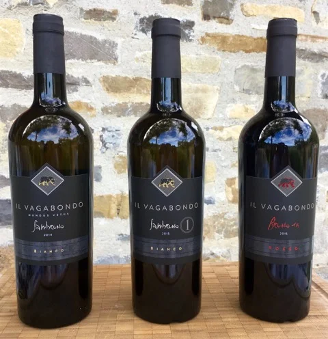 Il Vagabondo Sambruno 2015 | vagabondowine.com
