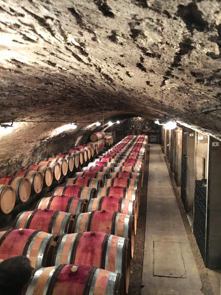 red-wine-tasting2.jpg