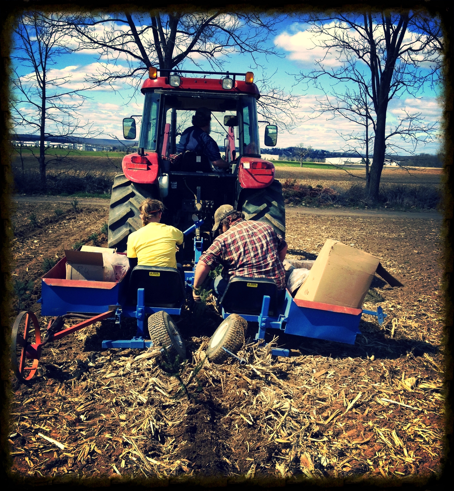  Roger Unangst is driving as Jon Derhammer and Tori Unangst plant the trees.