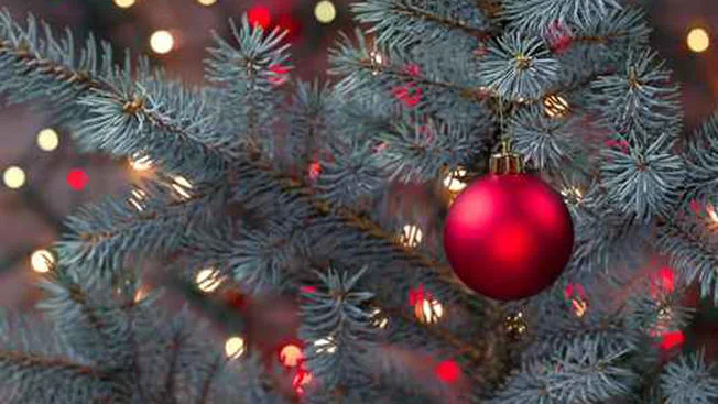 Thank A Military Member This Christmas Season!