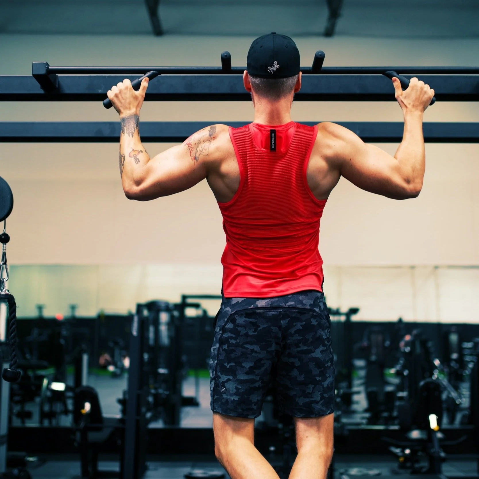 unsplash image pZqiQ6uvokA