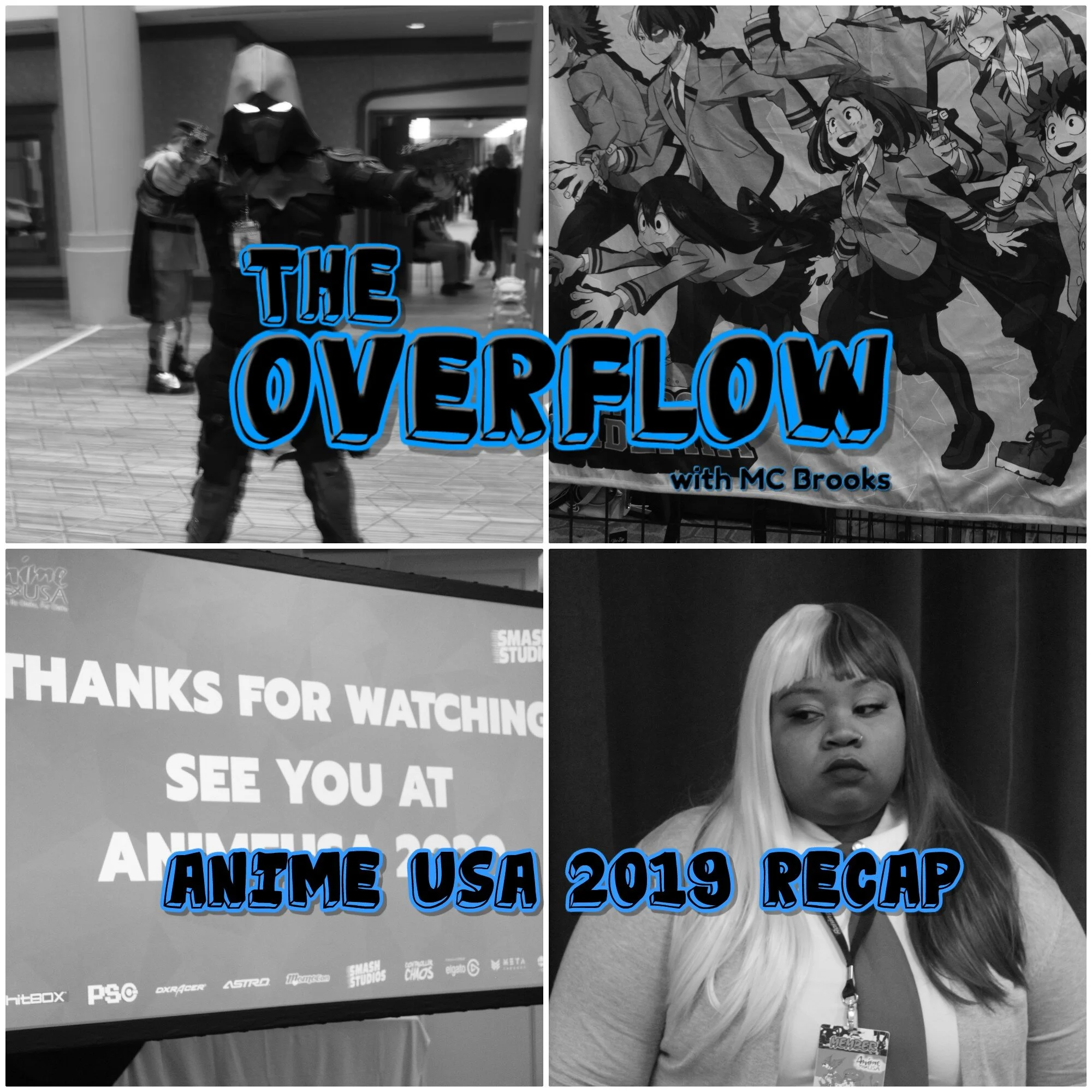 Anime USA 2019 Recap
