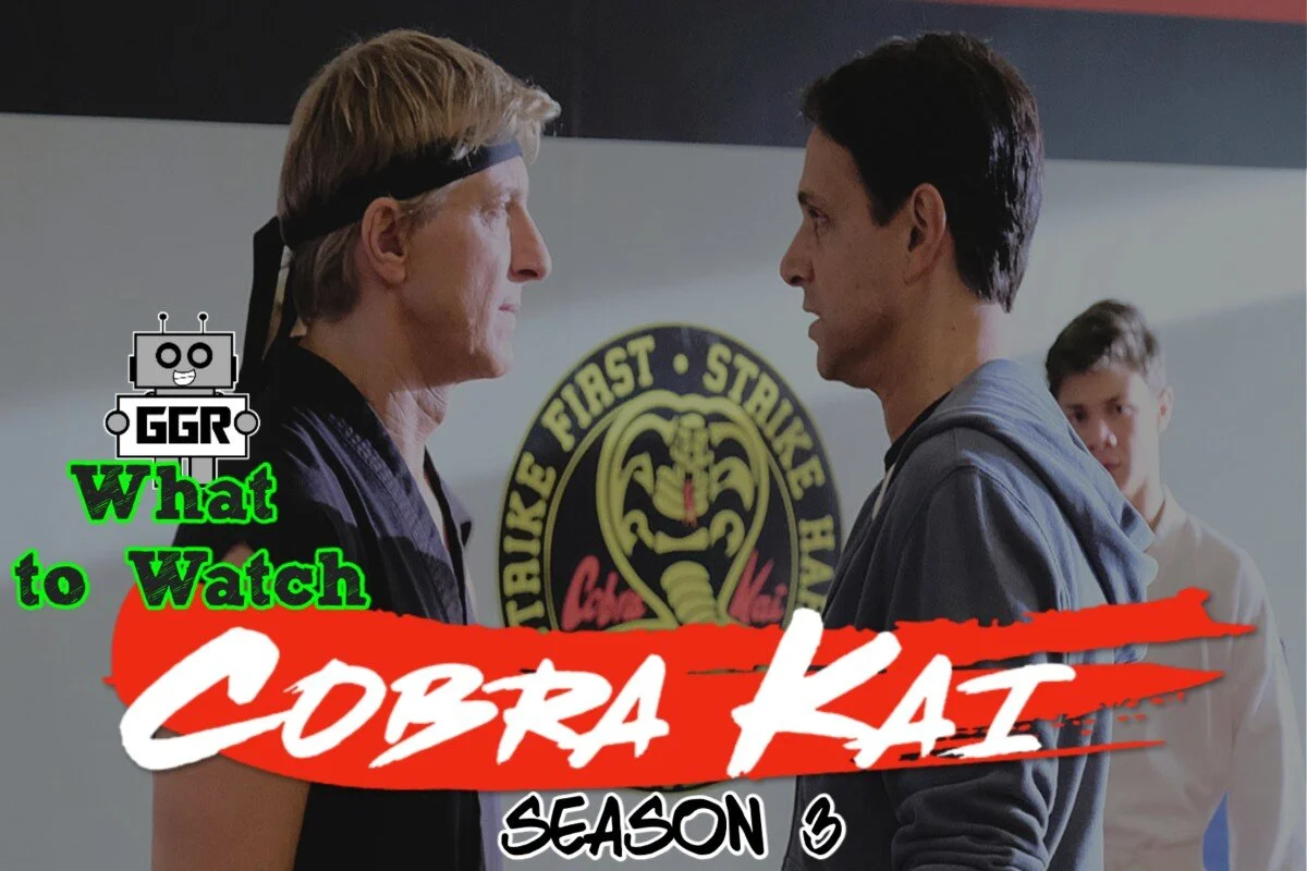 What to Watch - Cobra Kai Season 3