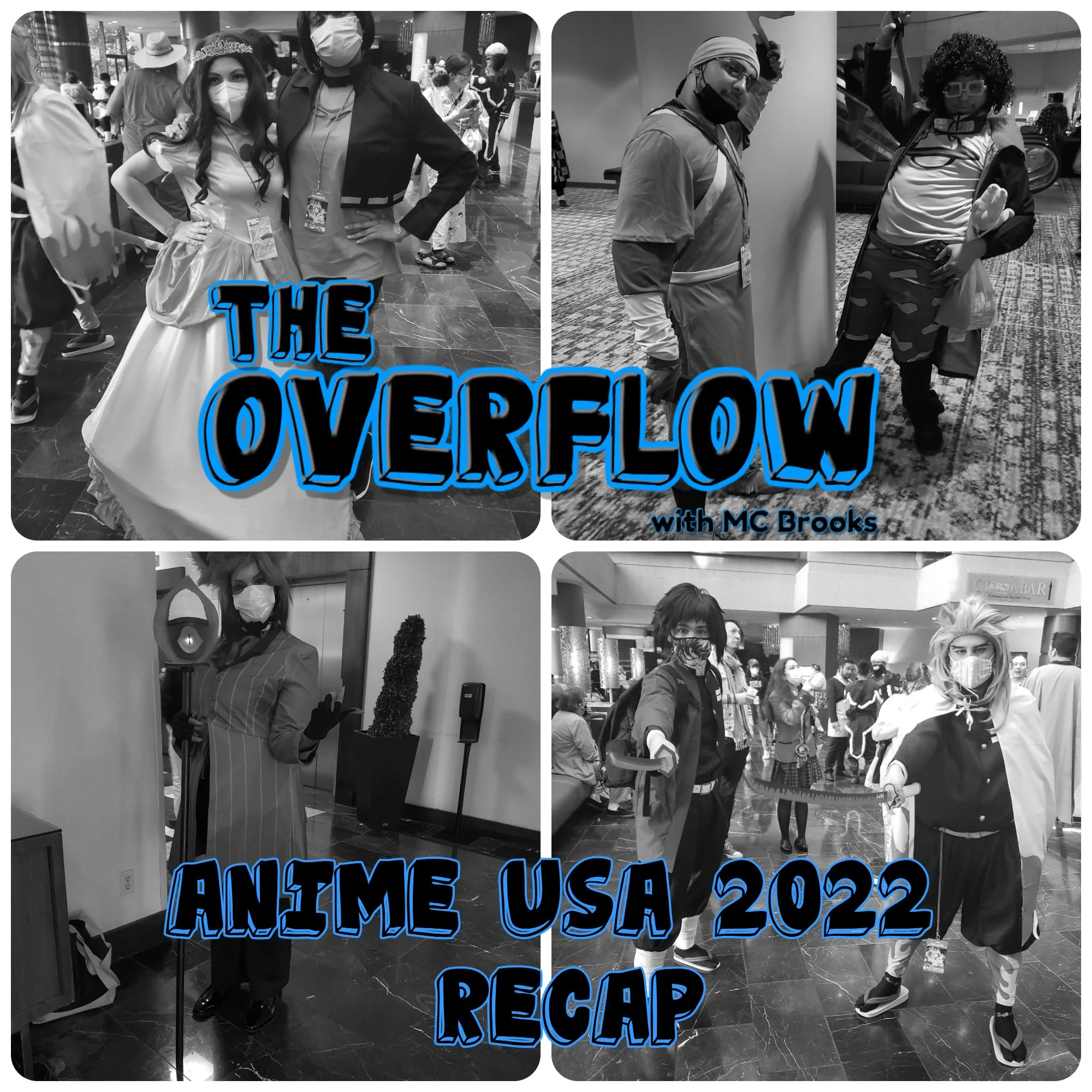 Anime USA 2022 Recap