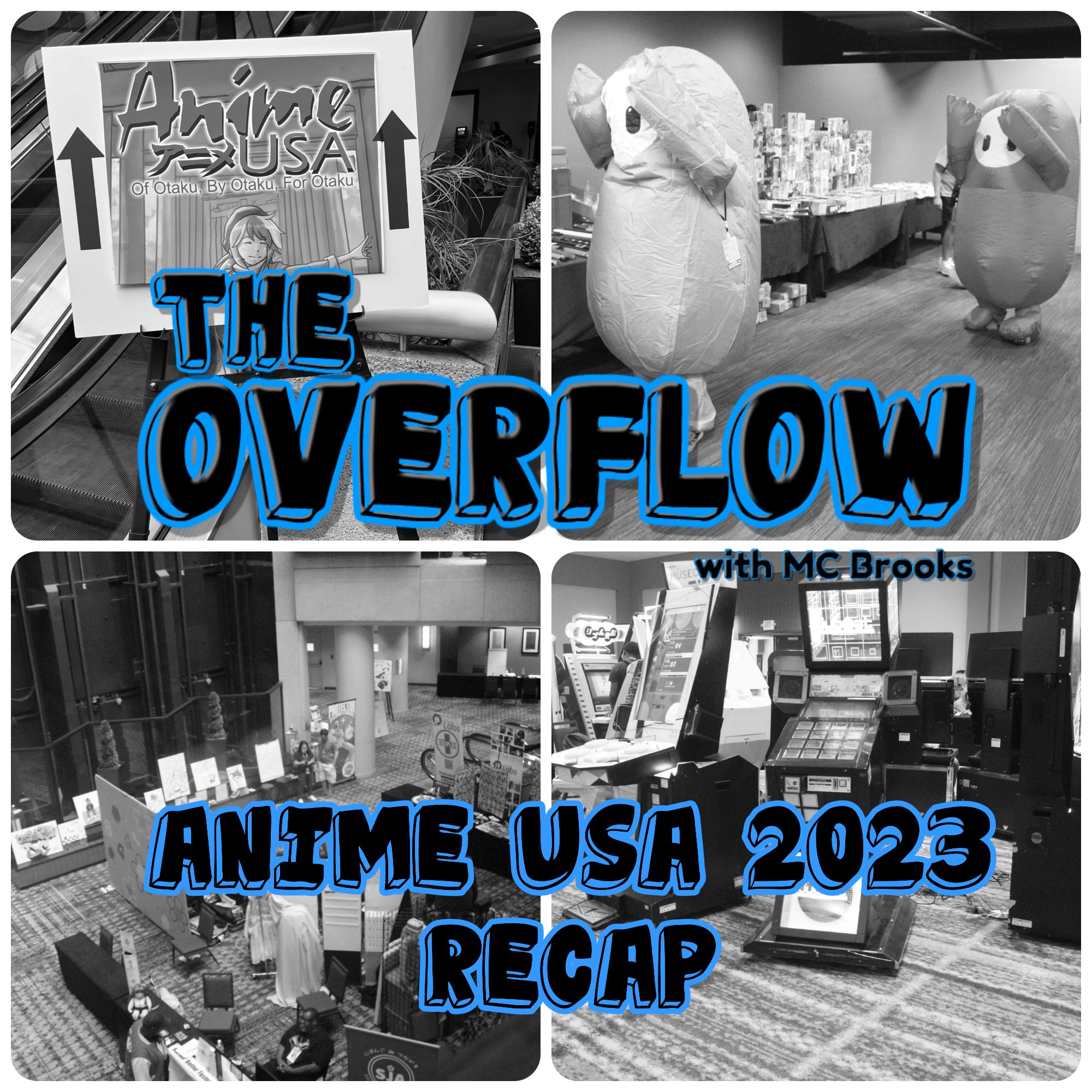 Anime USA 2023 Recap
