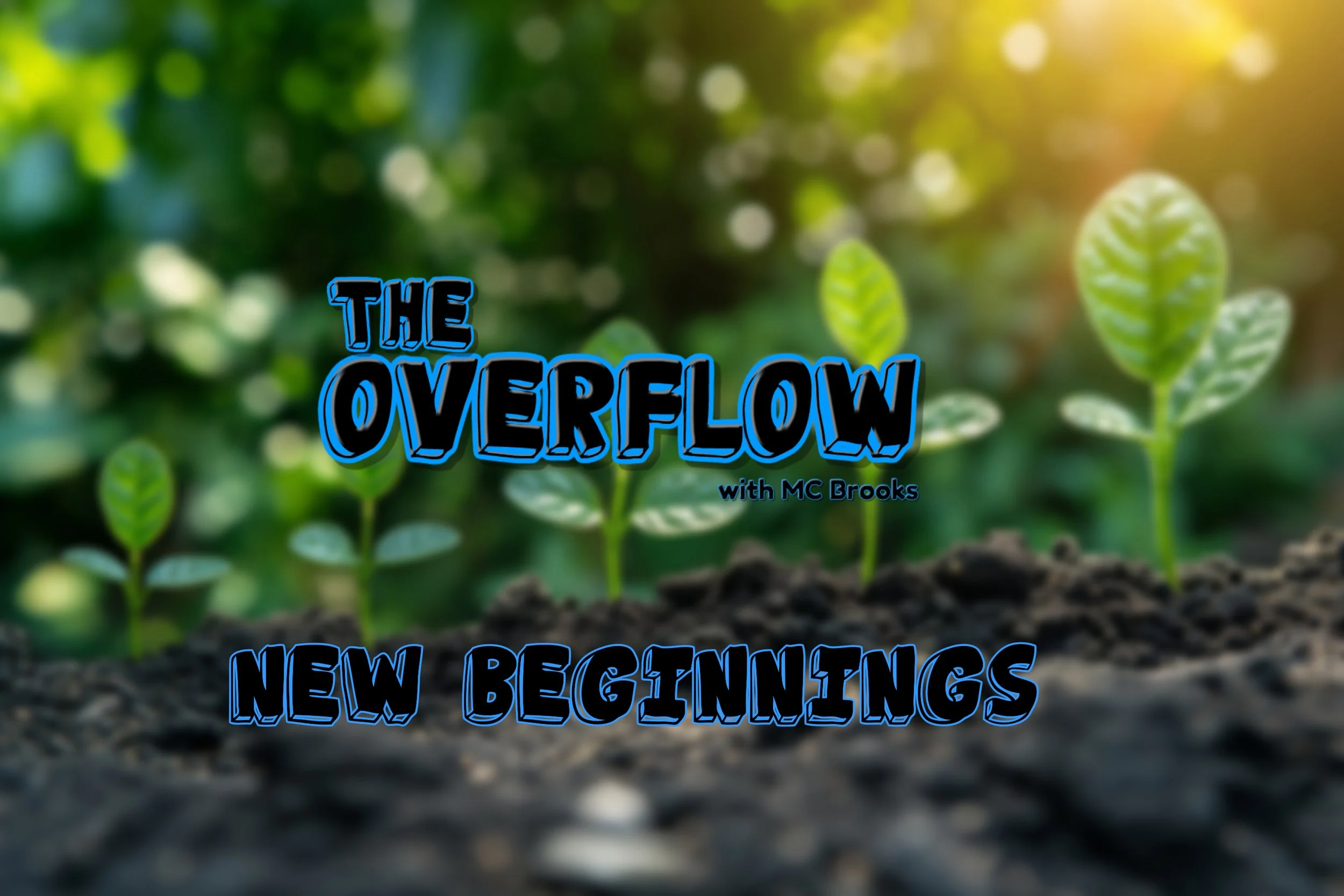 New Beginnings