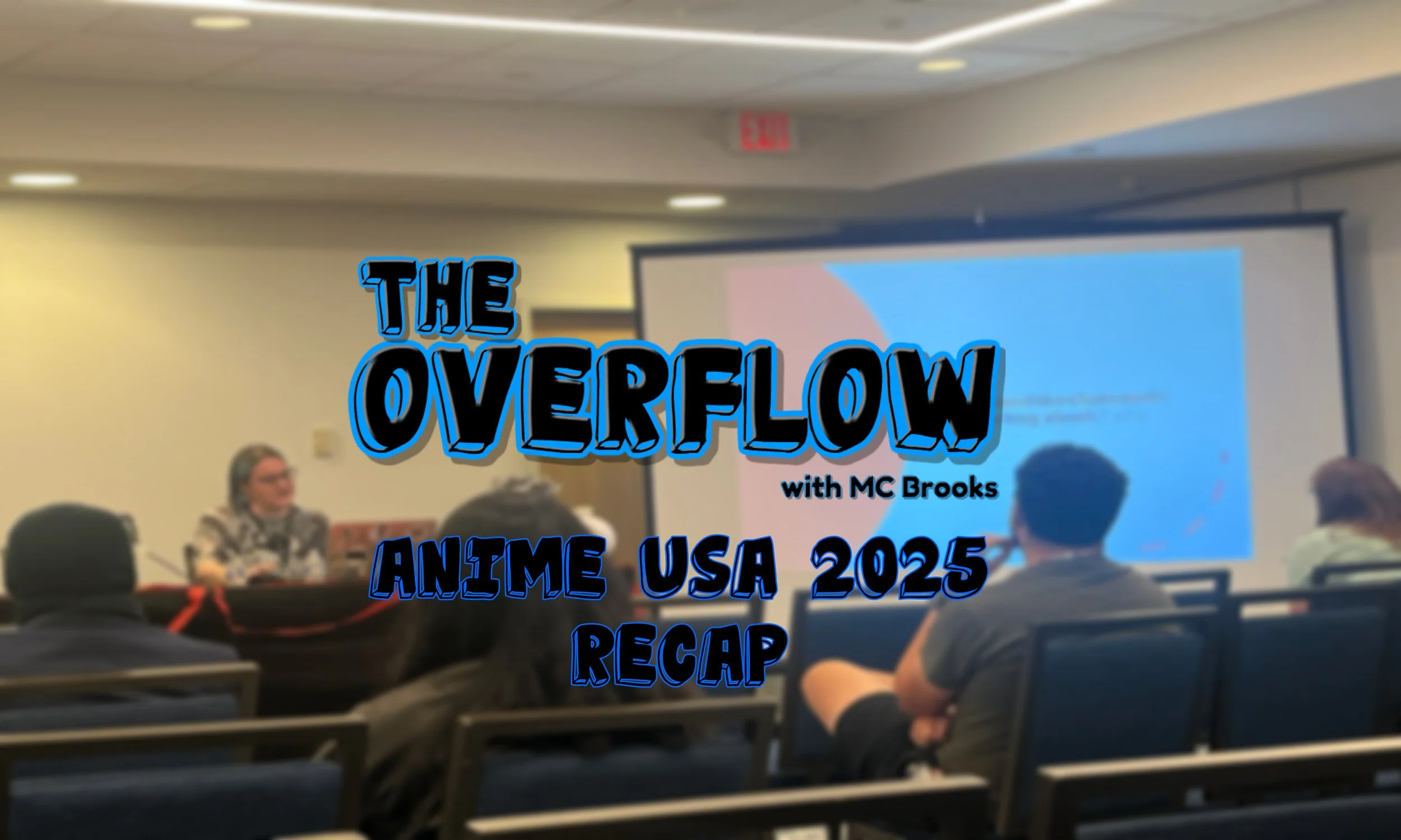 Anime USA 2025 Recap *repost*