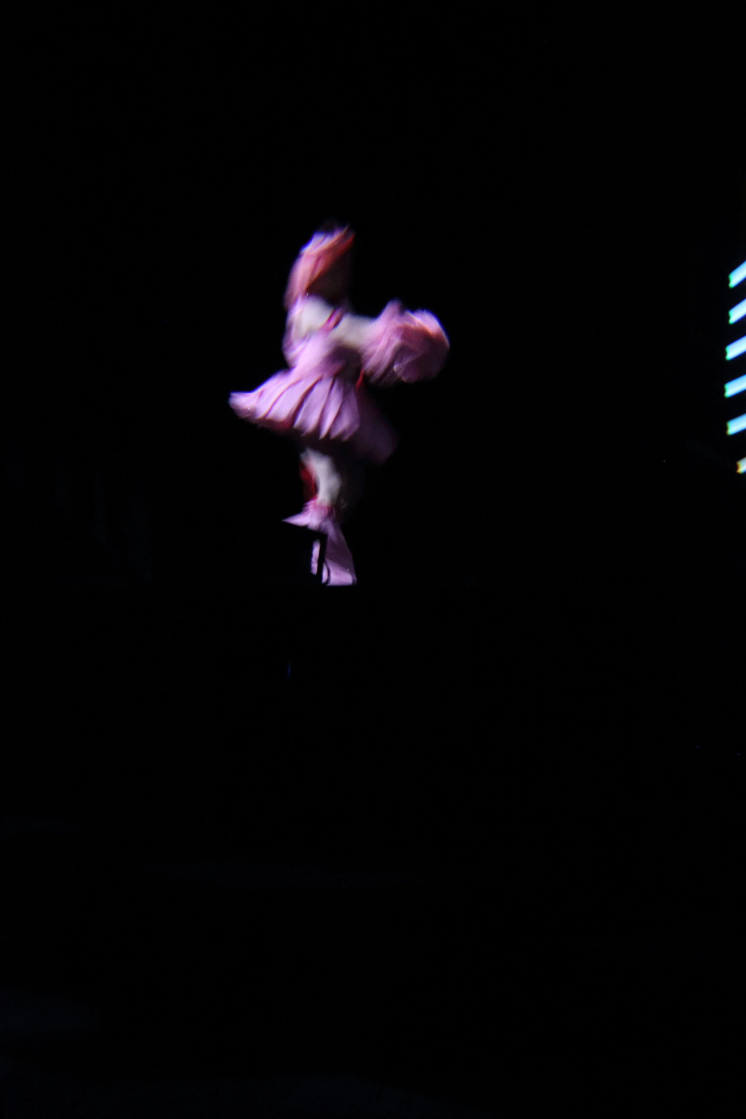 1IMG_1592.JPG