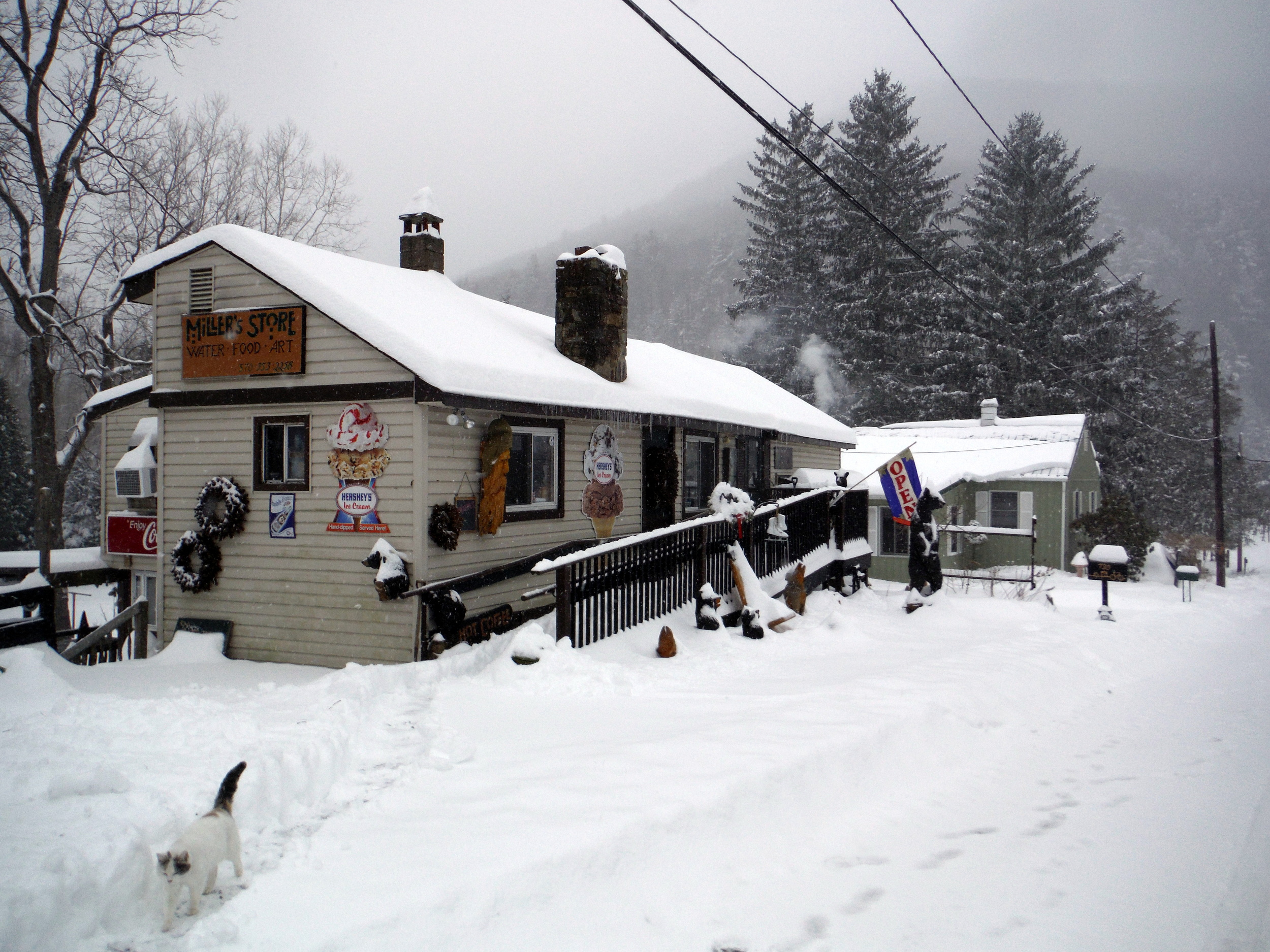  The store is open year round to cater to all different kinds of visitors. 