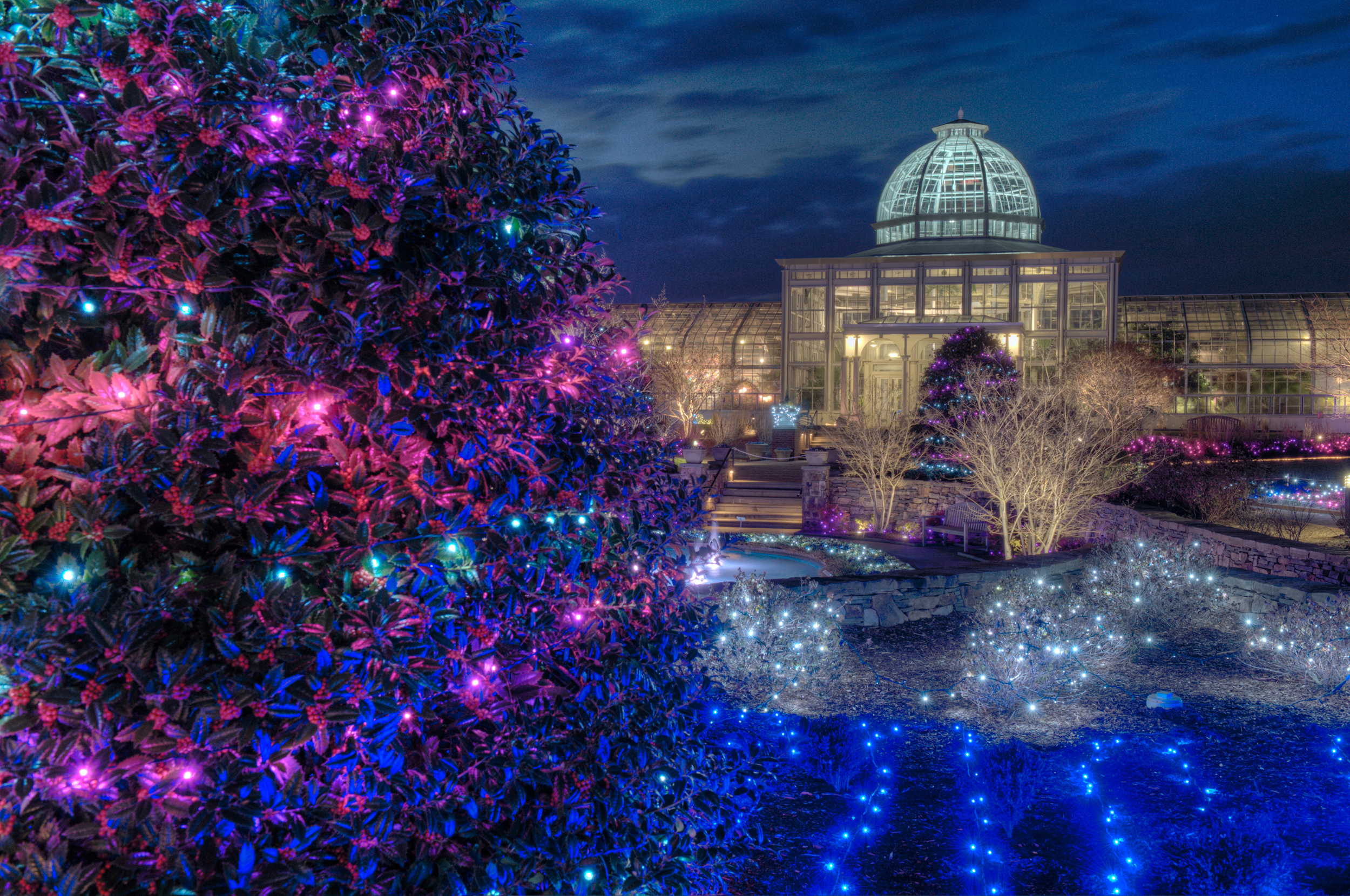 Dominion GardenFest of Lights Conservatory on the side  2012 Don Williamson_edited-1.jpg
