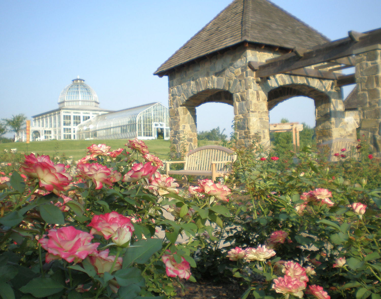 Pink tipped Roses with Conservatory and Rose Belvedere.jpg