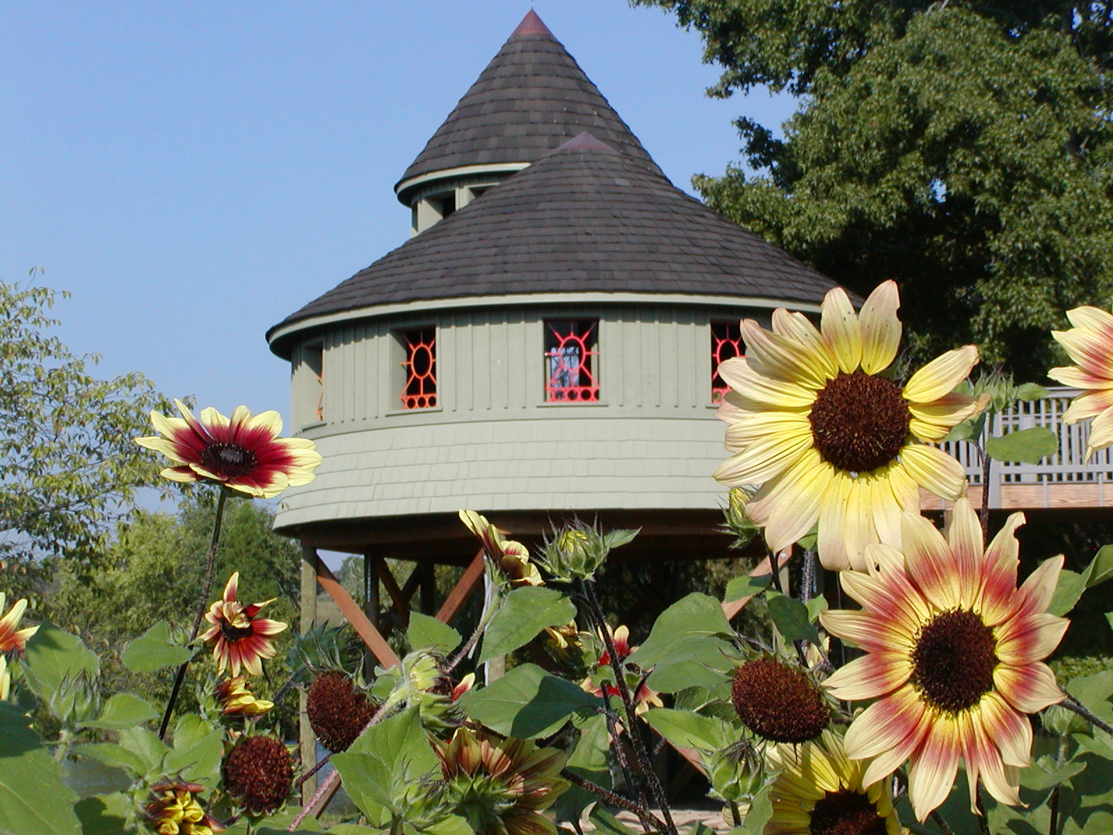 Summer Sunflowers Tree House.jpg
