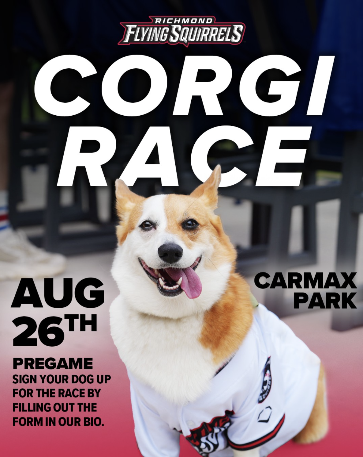 CORGI Race