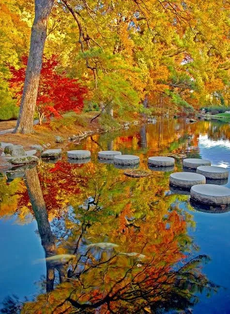 Falling for Richmond: The Best Spots for Leaf Peeping