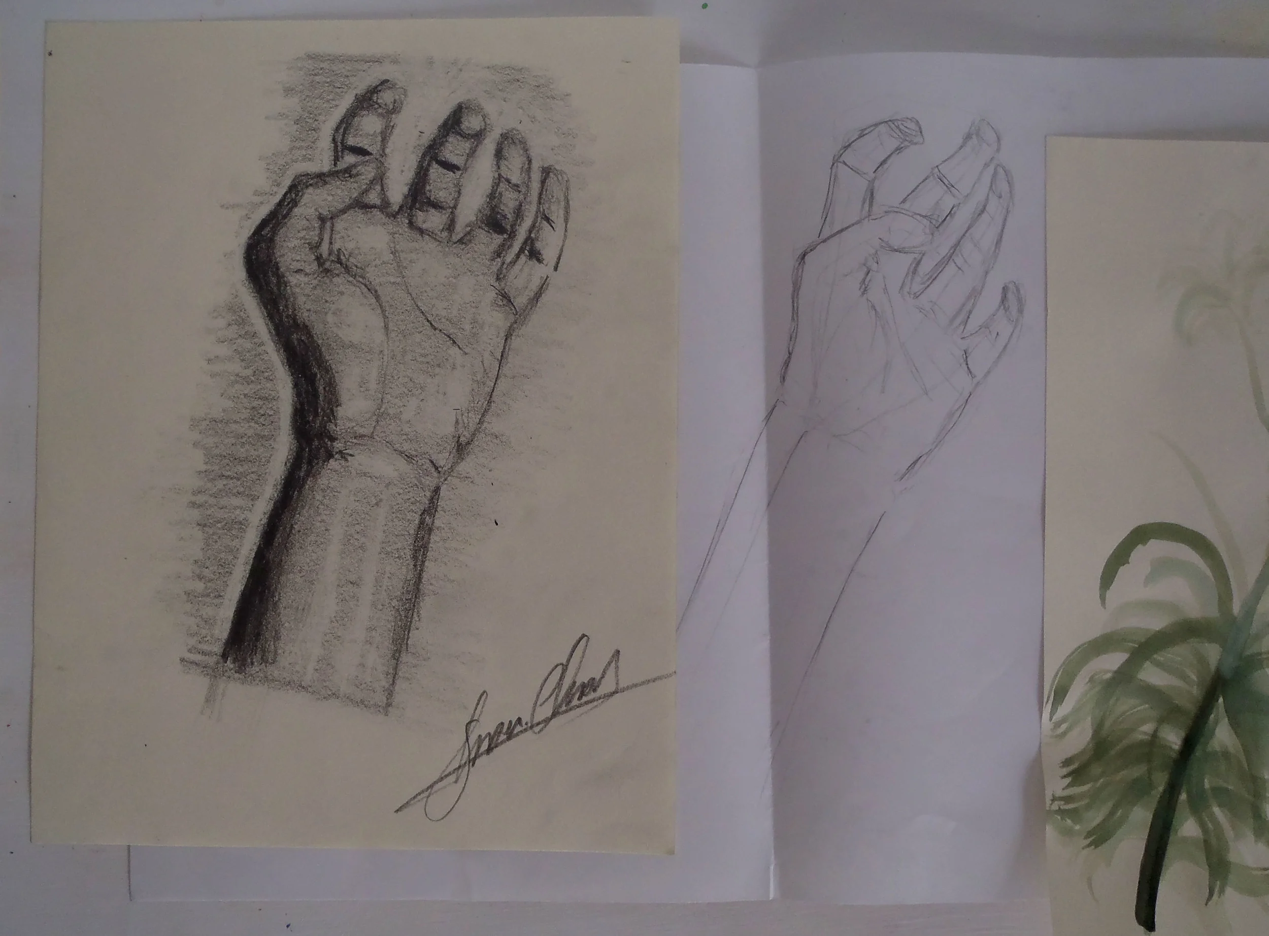 Hand, Exercise in Contour and Shading