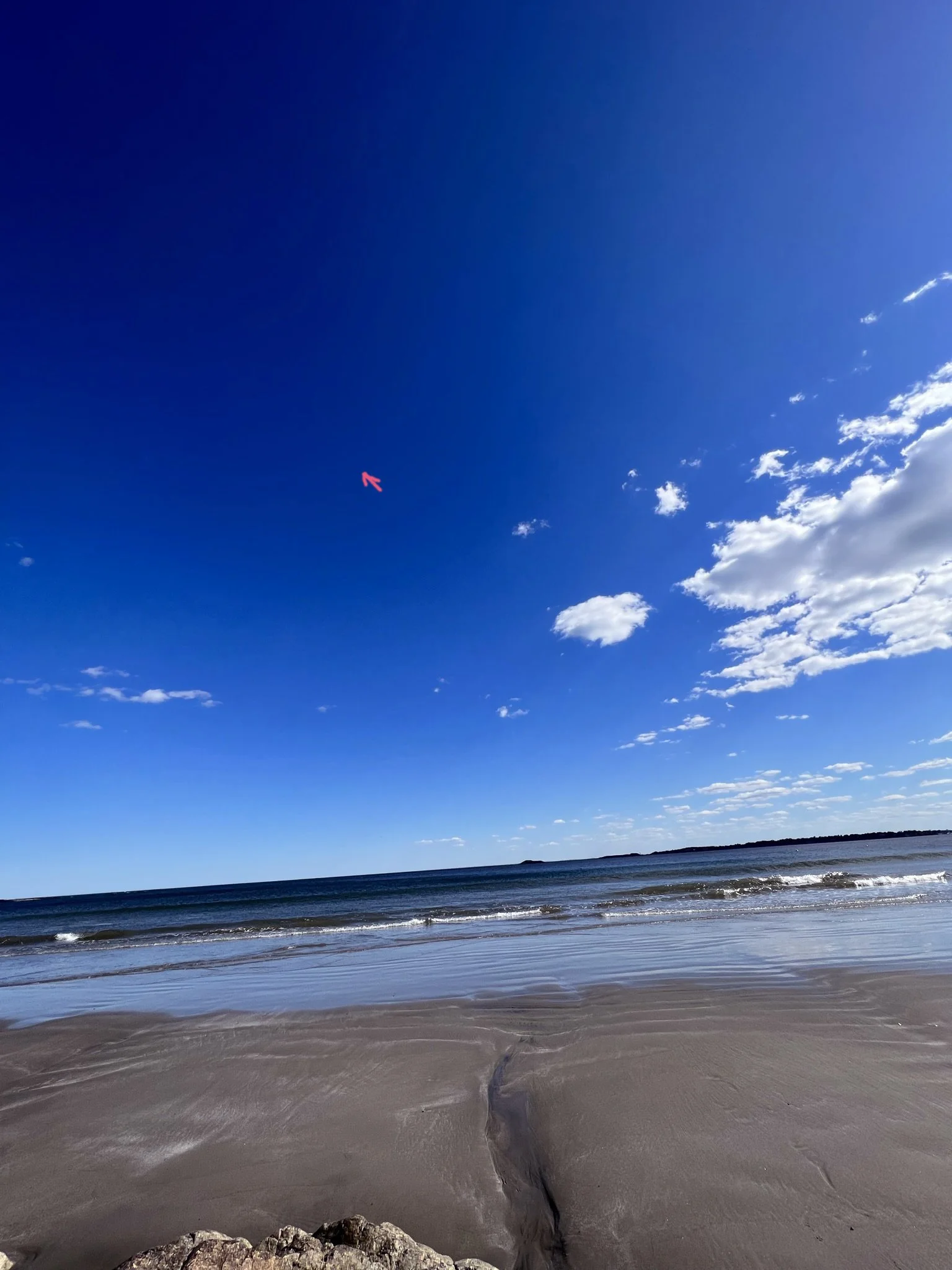 Ives Kline Blue daily0.jpeg