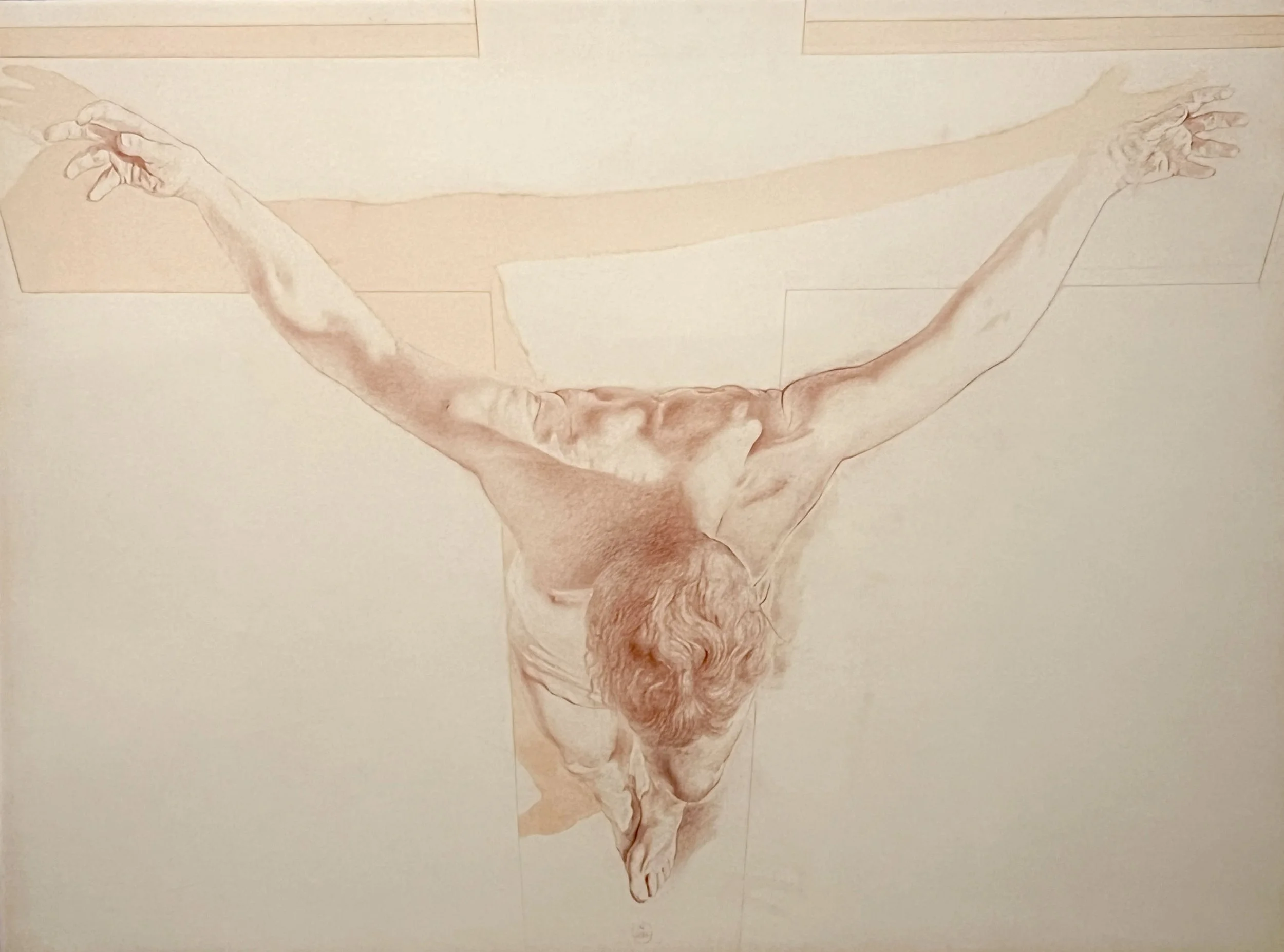 Dali's Vagina Diagram with Fallopian Tubes 