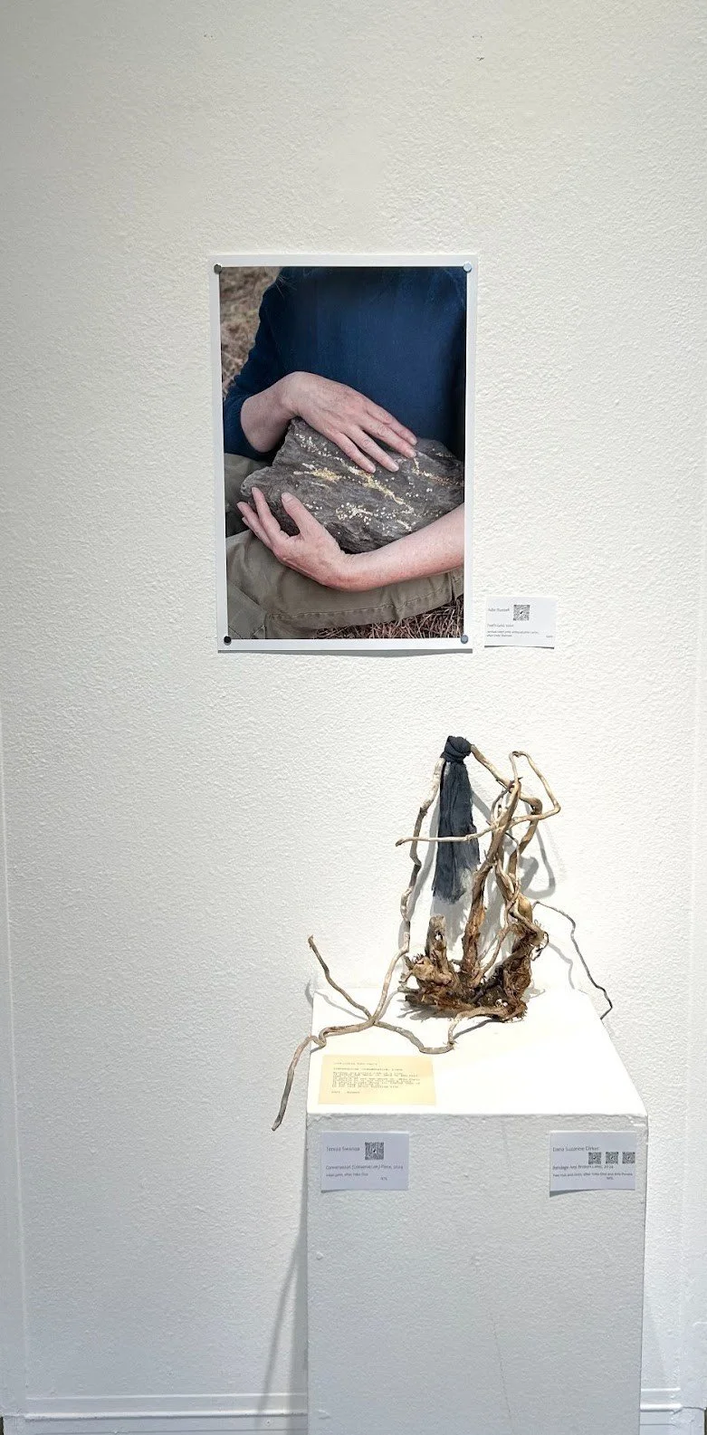  Collaboration between Dana Dirker’s bandaged branch and Conversation (Conservation) Piece, alongside Adie Russell’s  Fools Gold,  2020 archival inkjet print.  