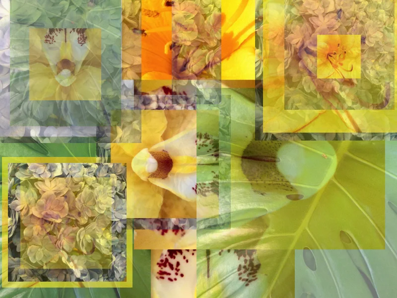 petaldeck2.jpg