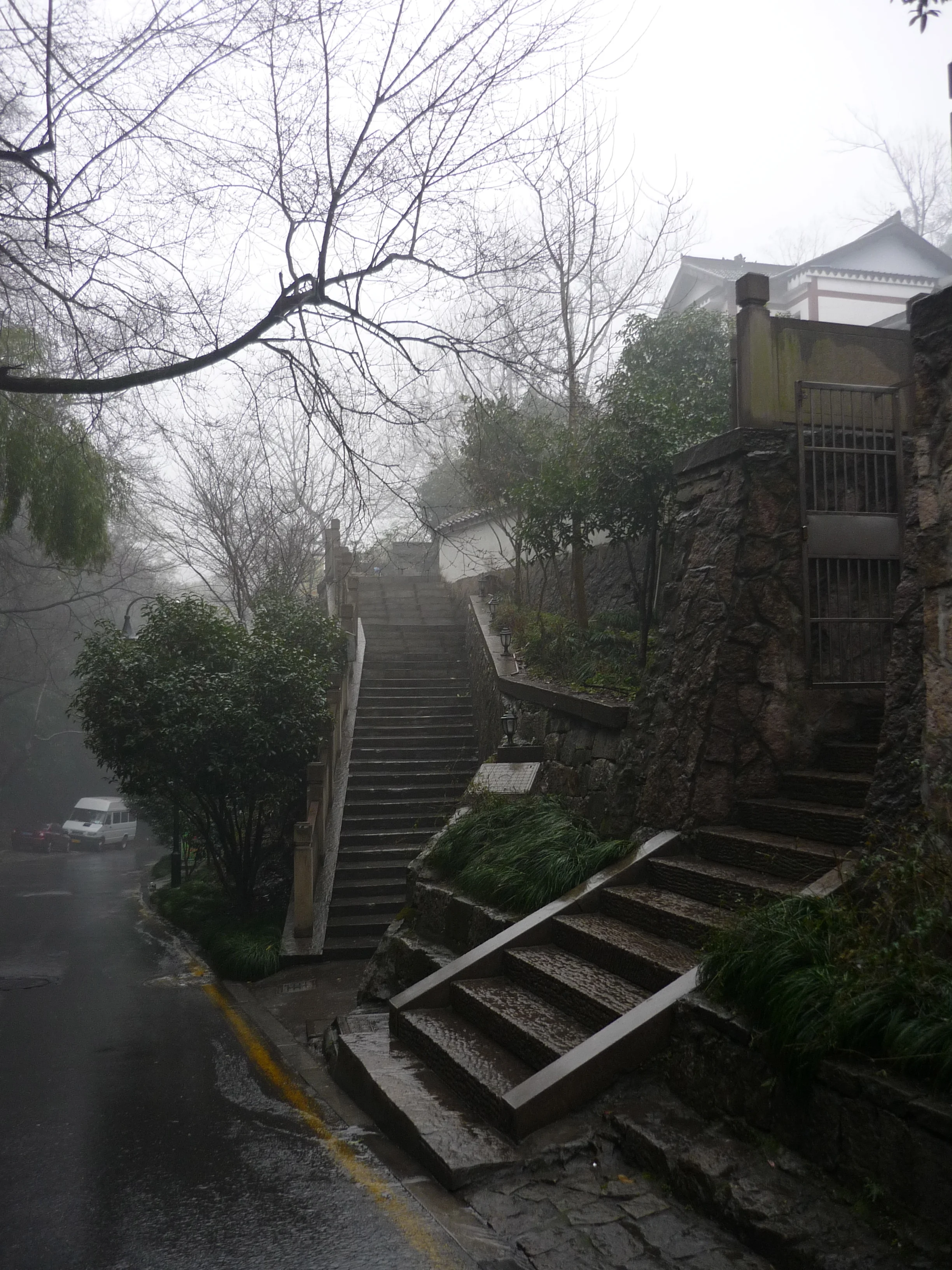 P1040774.jpg