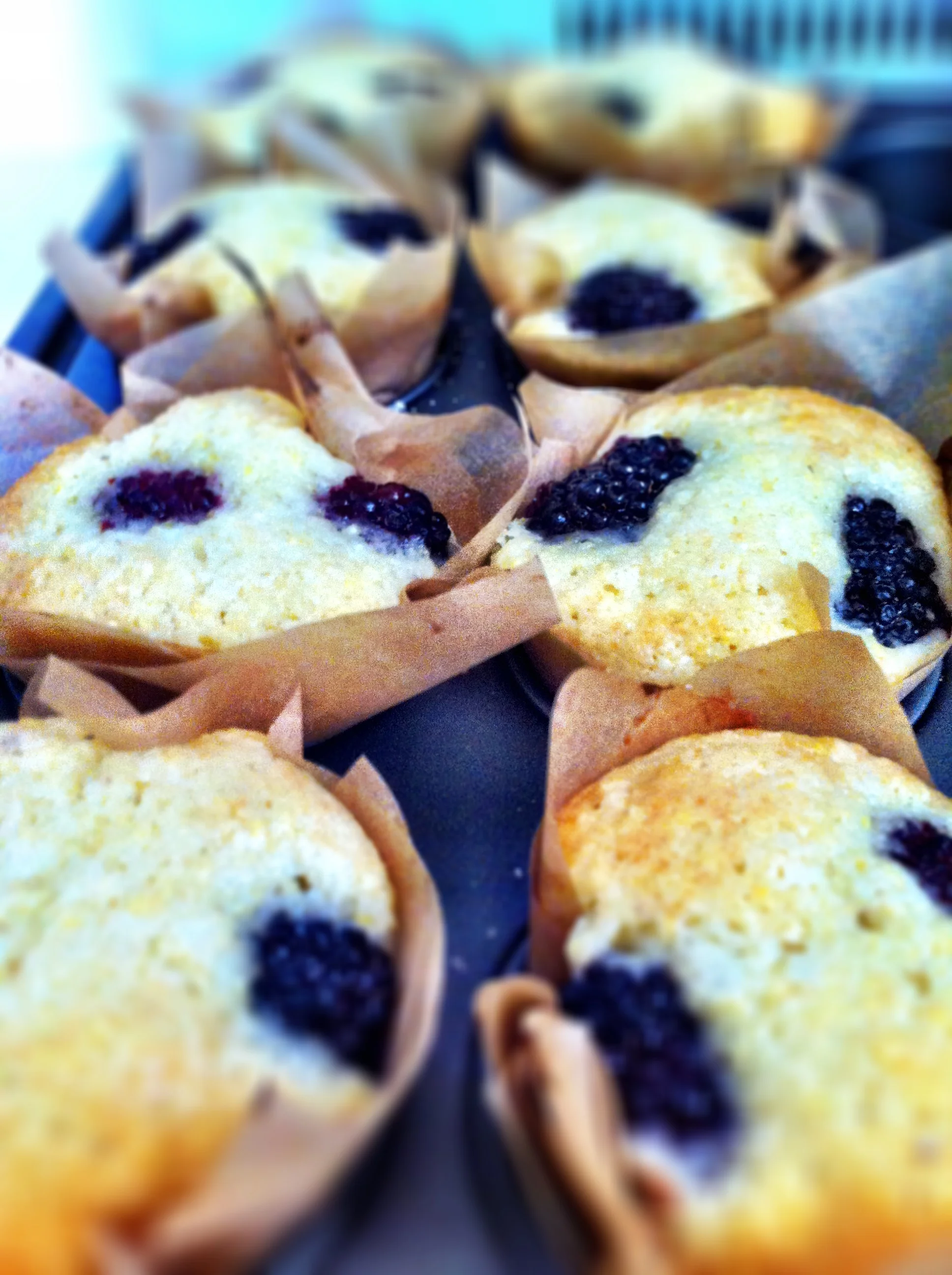 Organic Flax Seed Blueberry Muffins