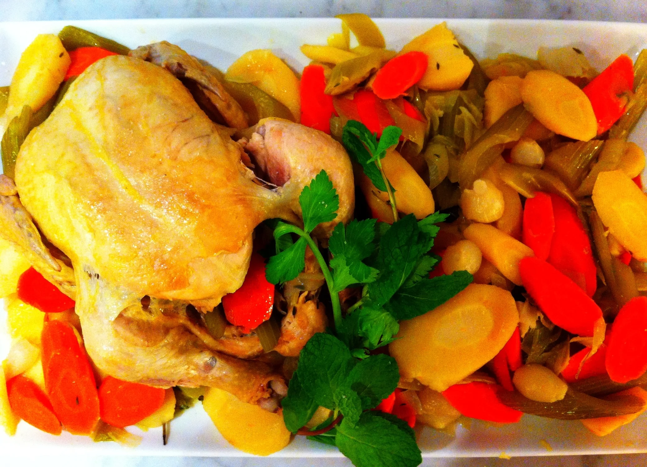 Lemon Roasted Chicken w/ Verduras