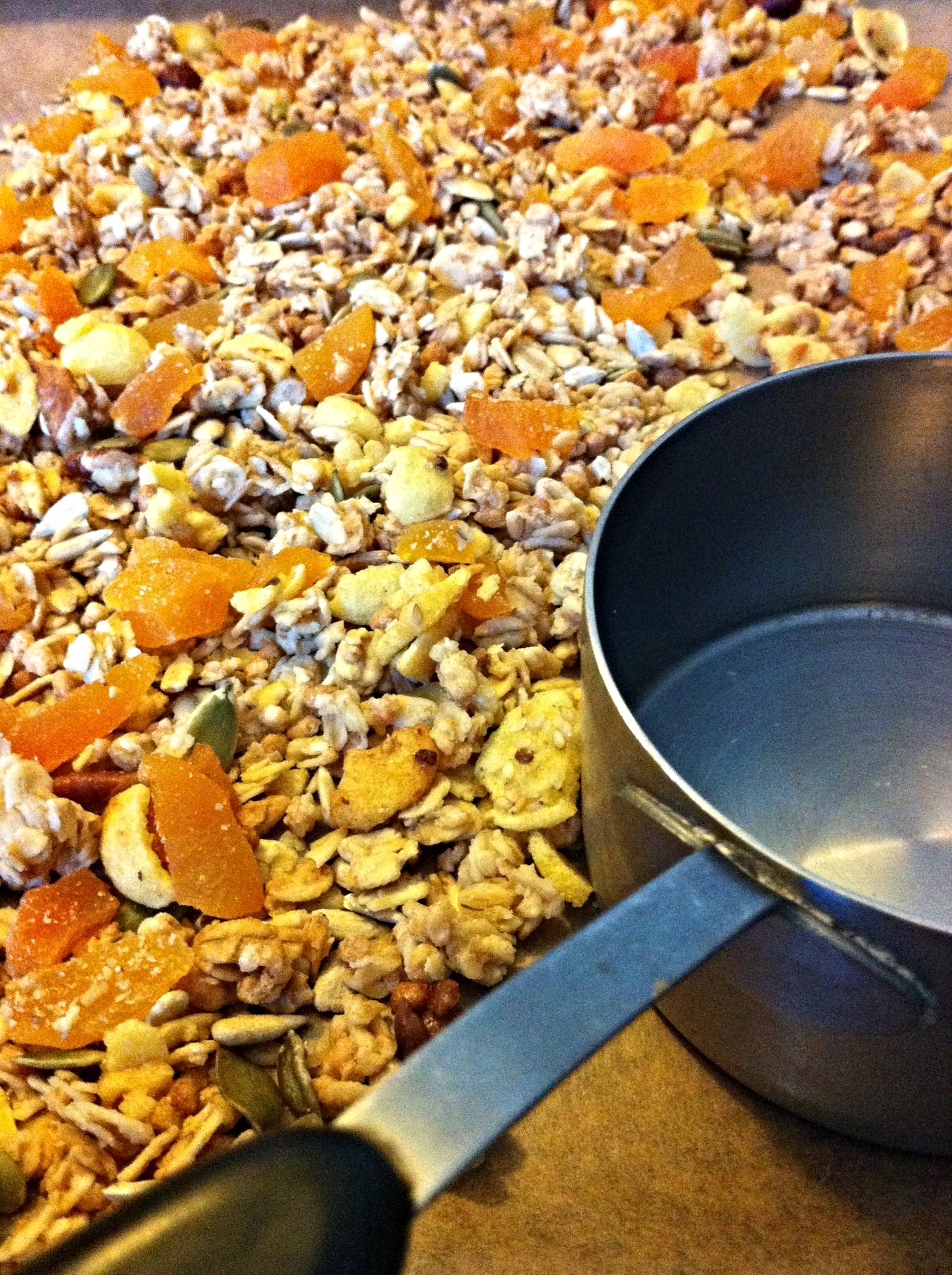 Homemade Granola & Dried Fruits