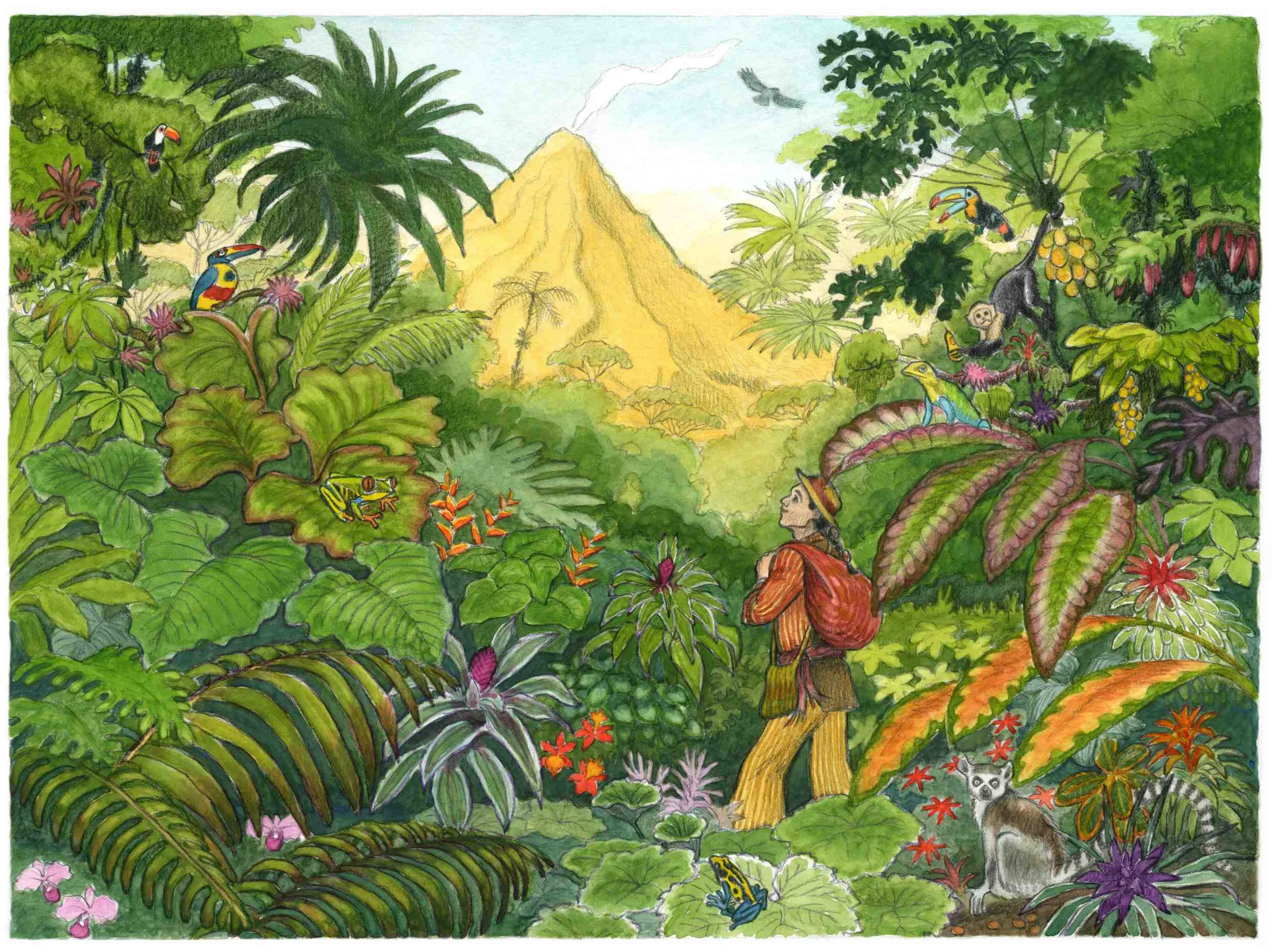 Book Launch: I Built My House on a Volcano/Mi casa en el volcán