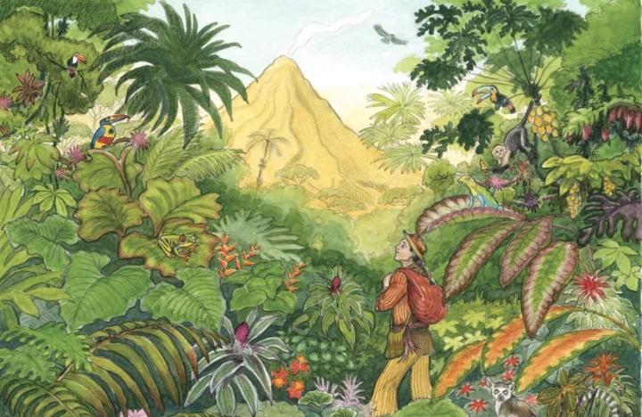 What does the Volcano story mean to you?