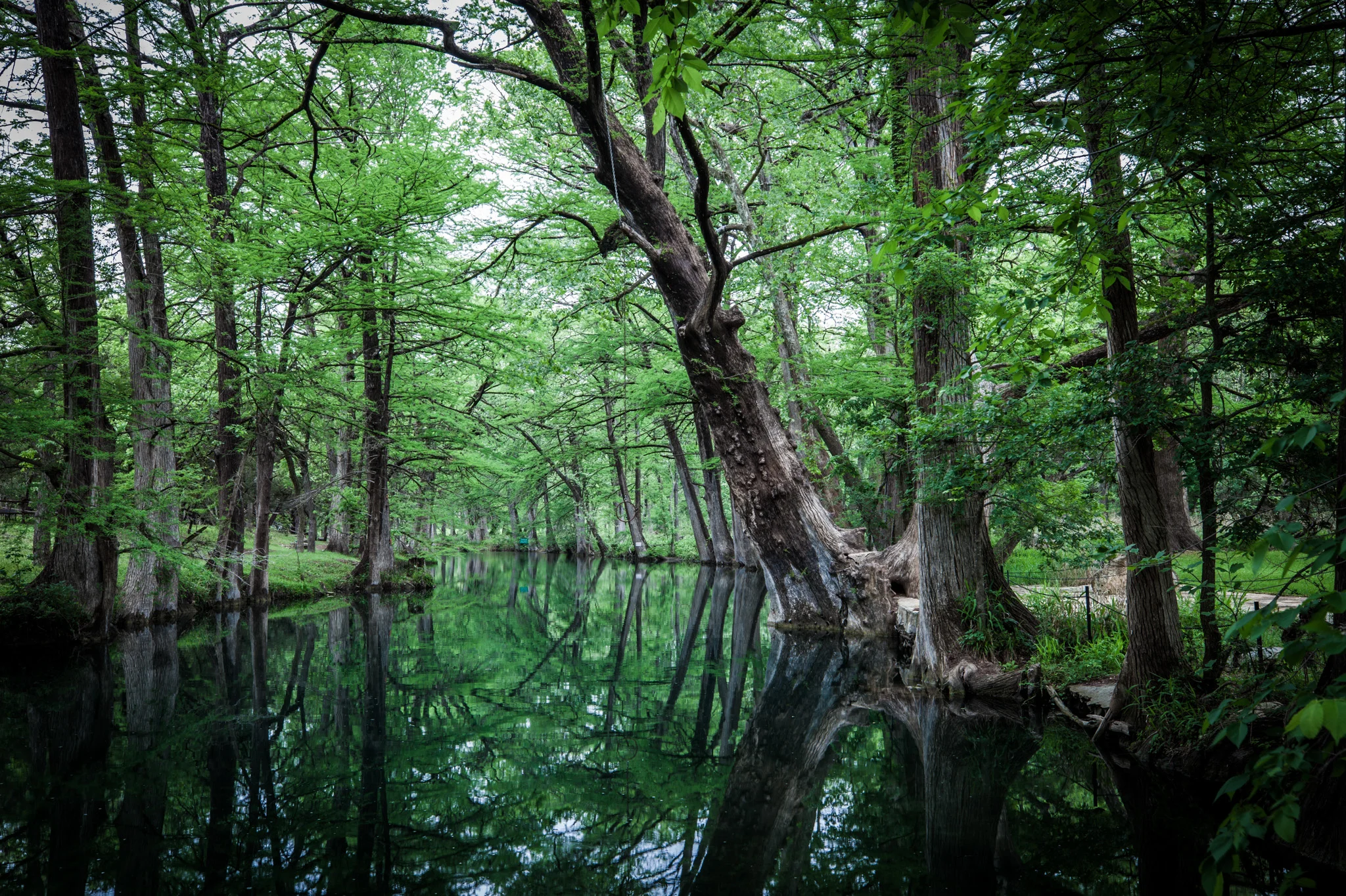 Blue Hole Regional Park, Wimberley, TX