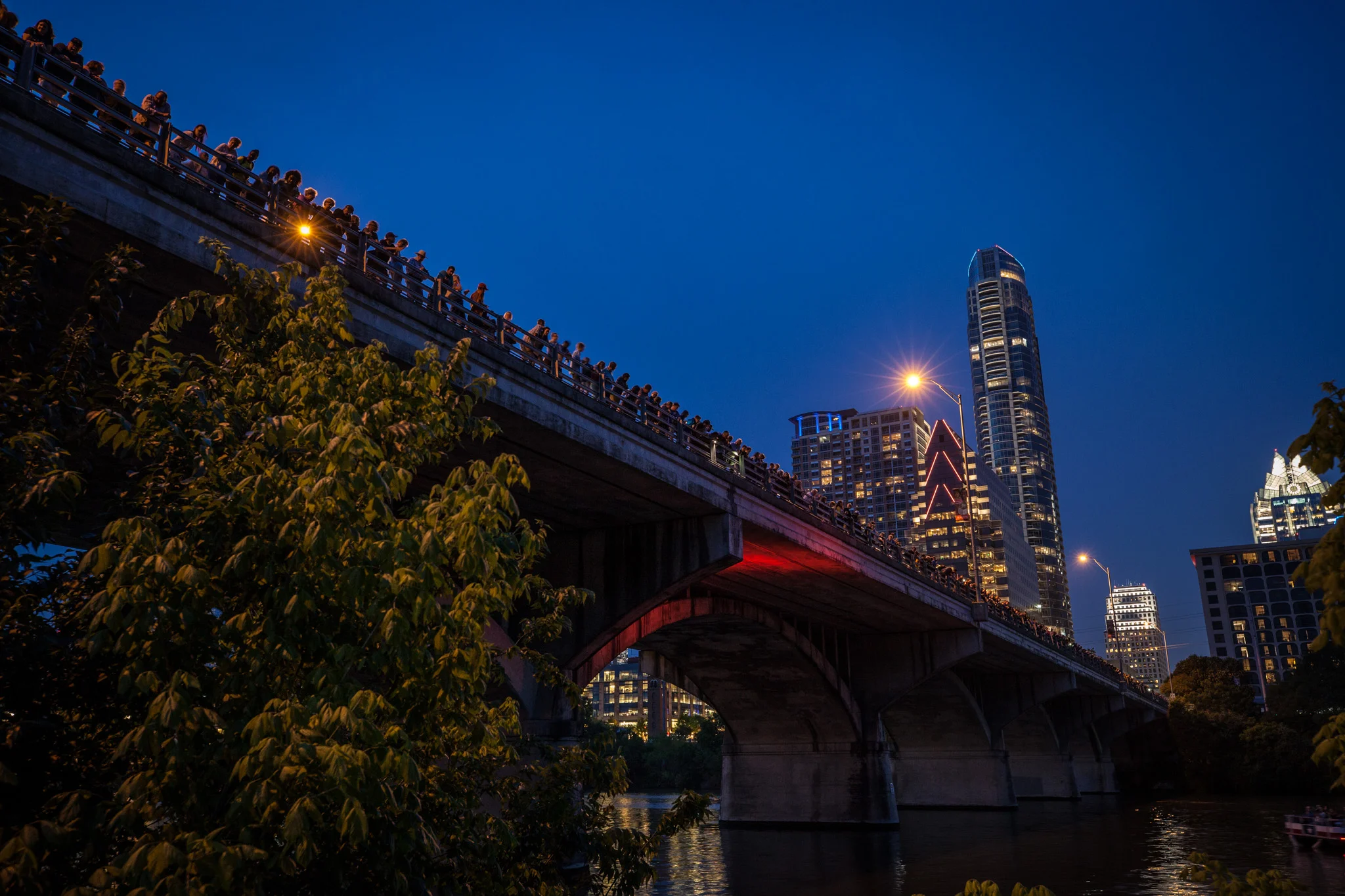 Congress Bridge in Austin, TX