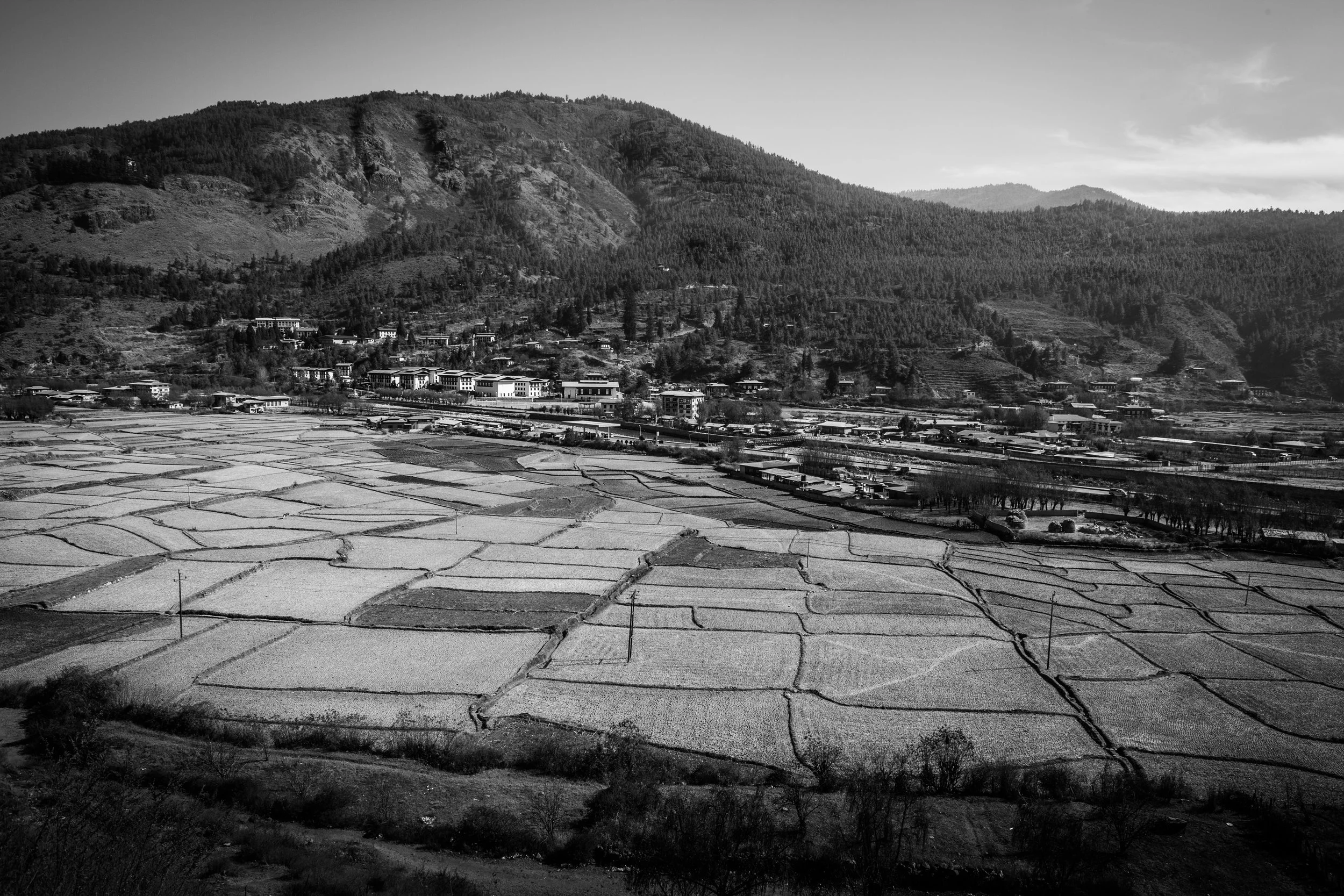 December 23, 2017-_MG_7118.jpg