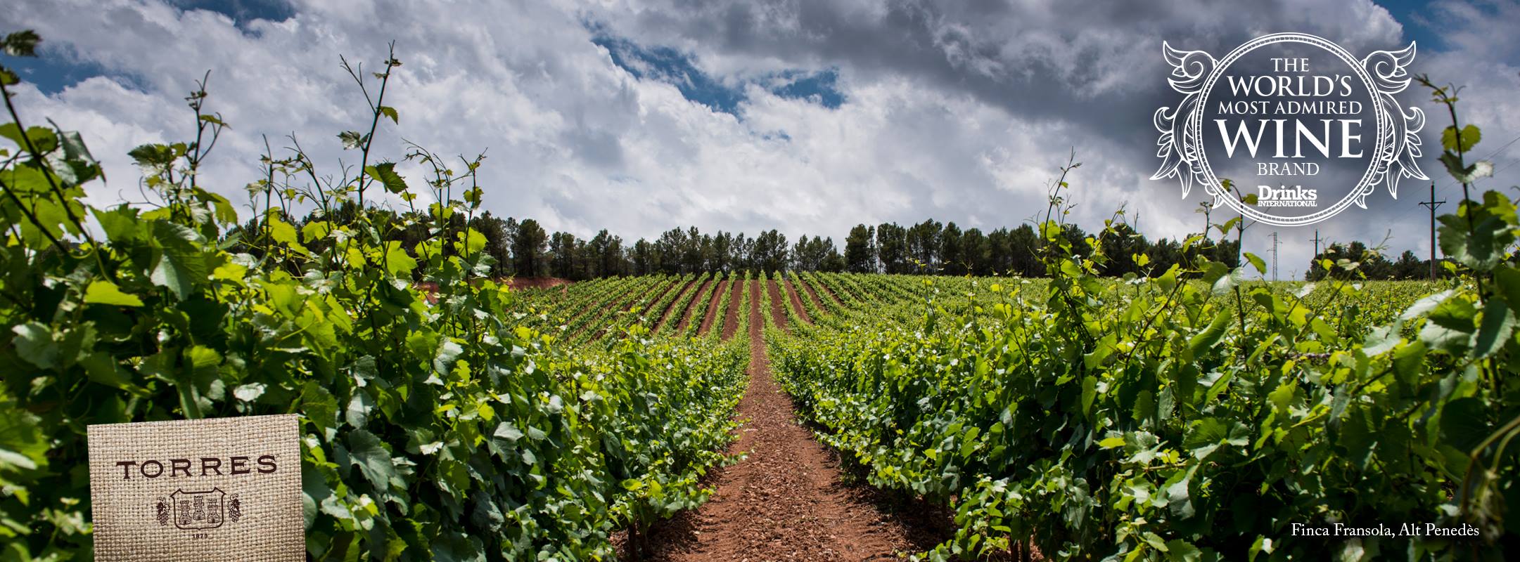 Bodegas-Torres.jpg