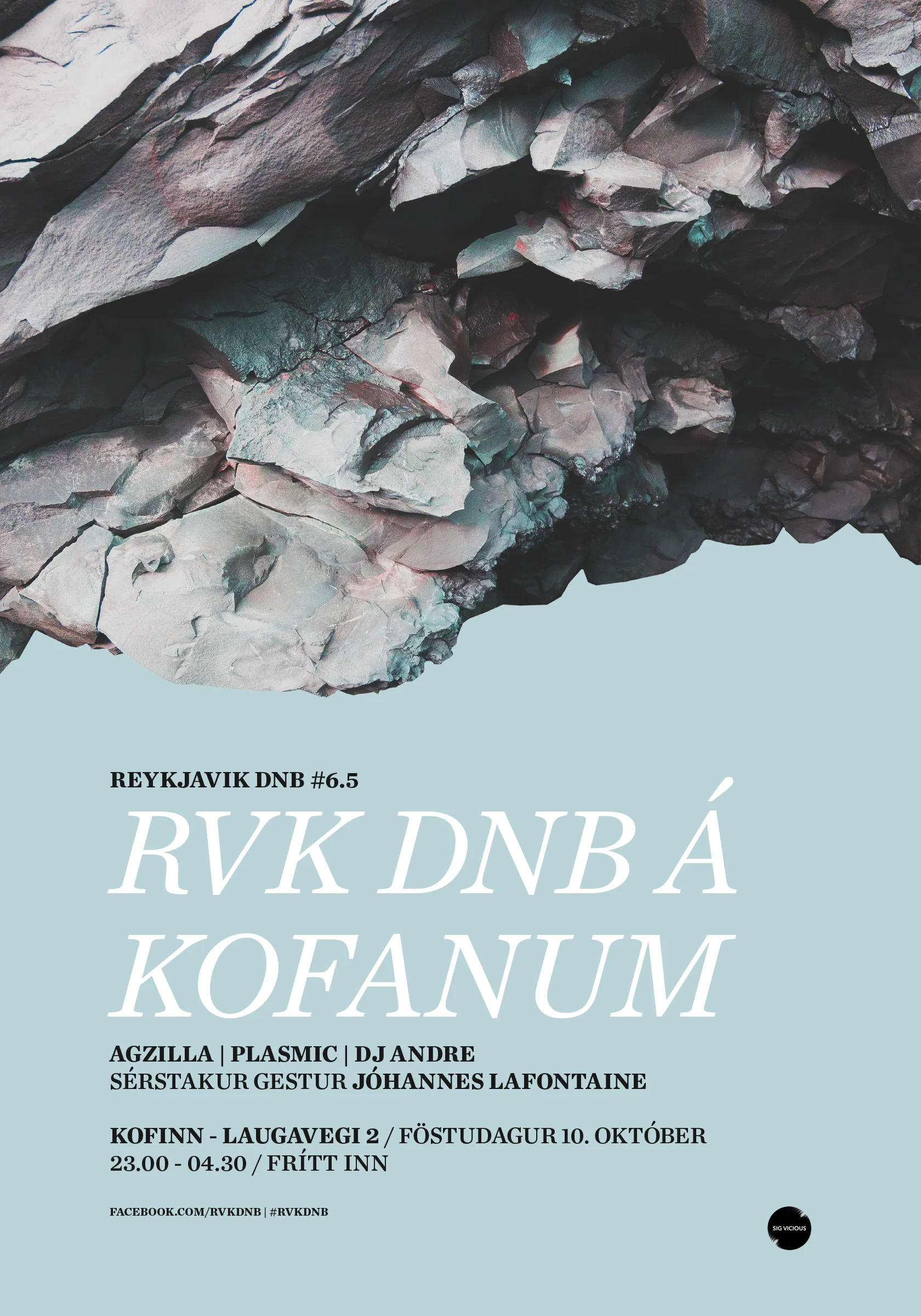 RVK DNB 6,5.jpg