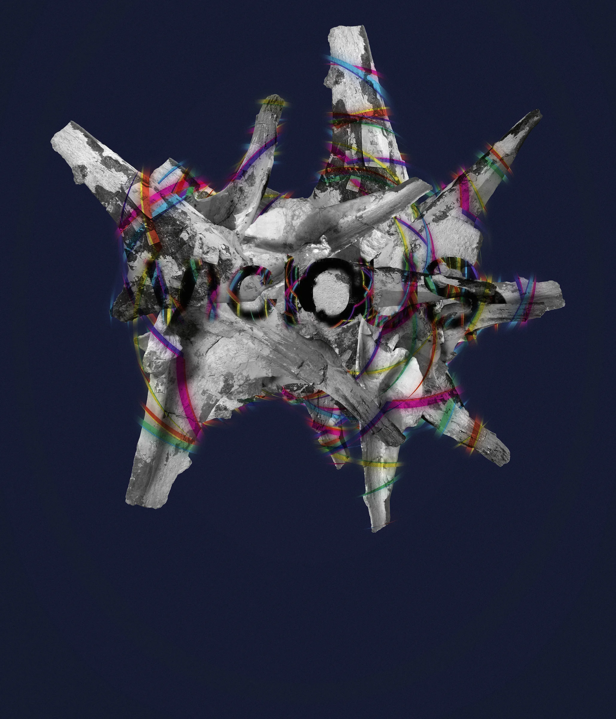 Bones Collage.jpg