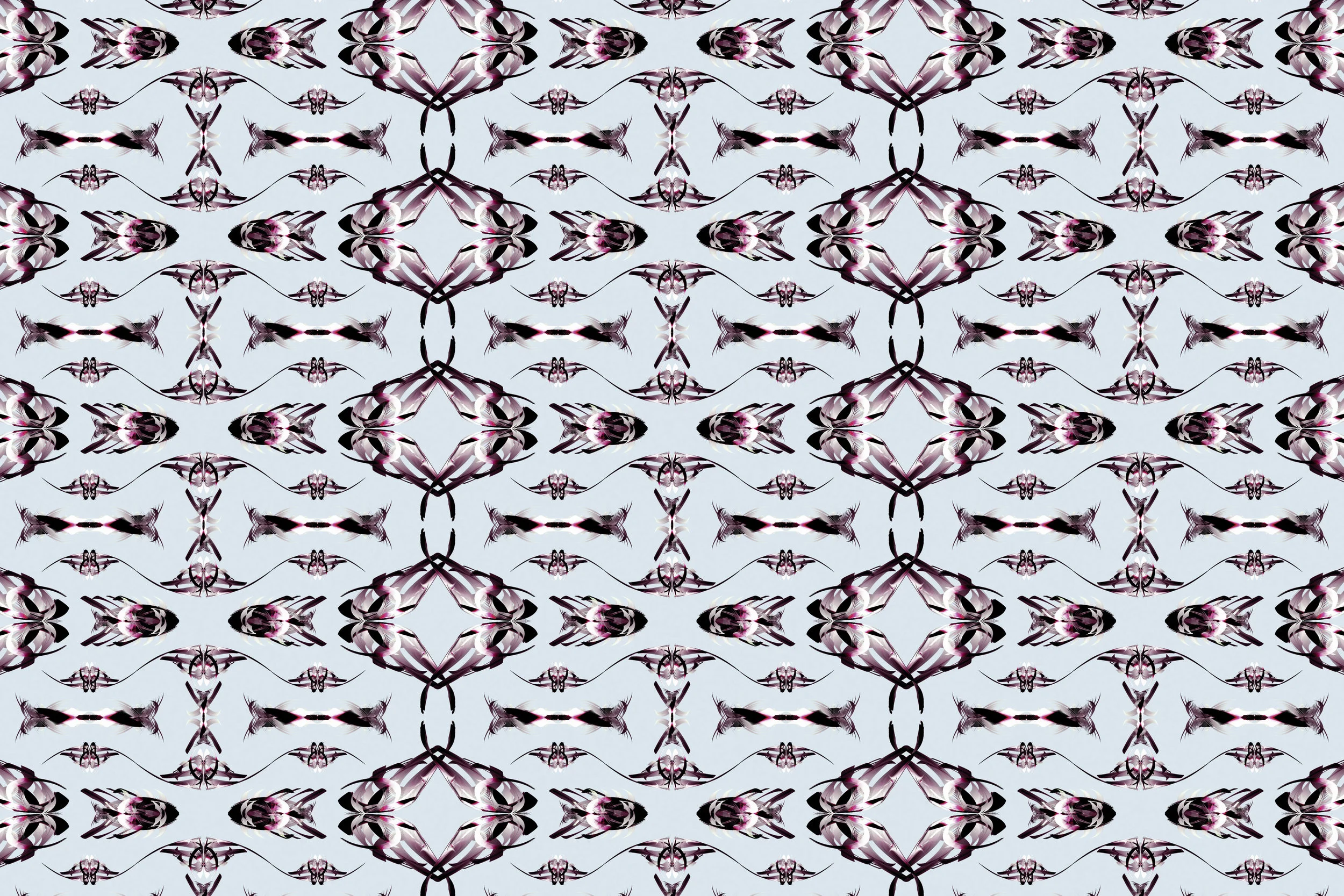 External wallpaper 1.jpg