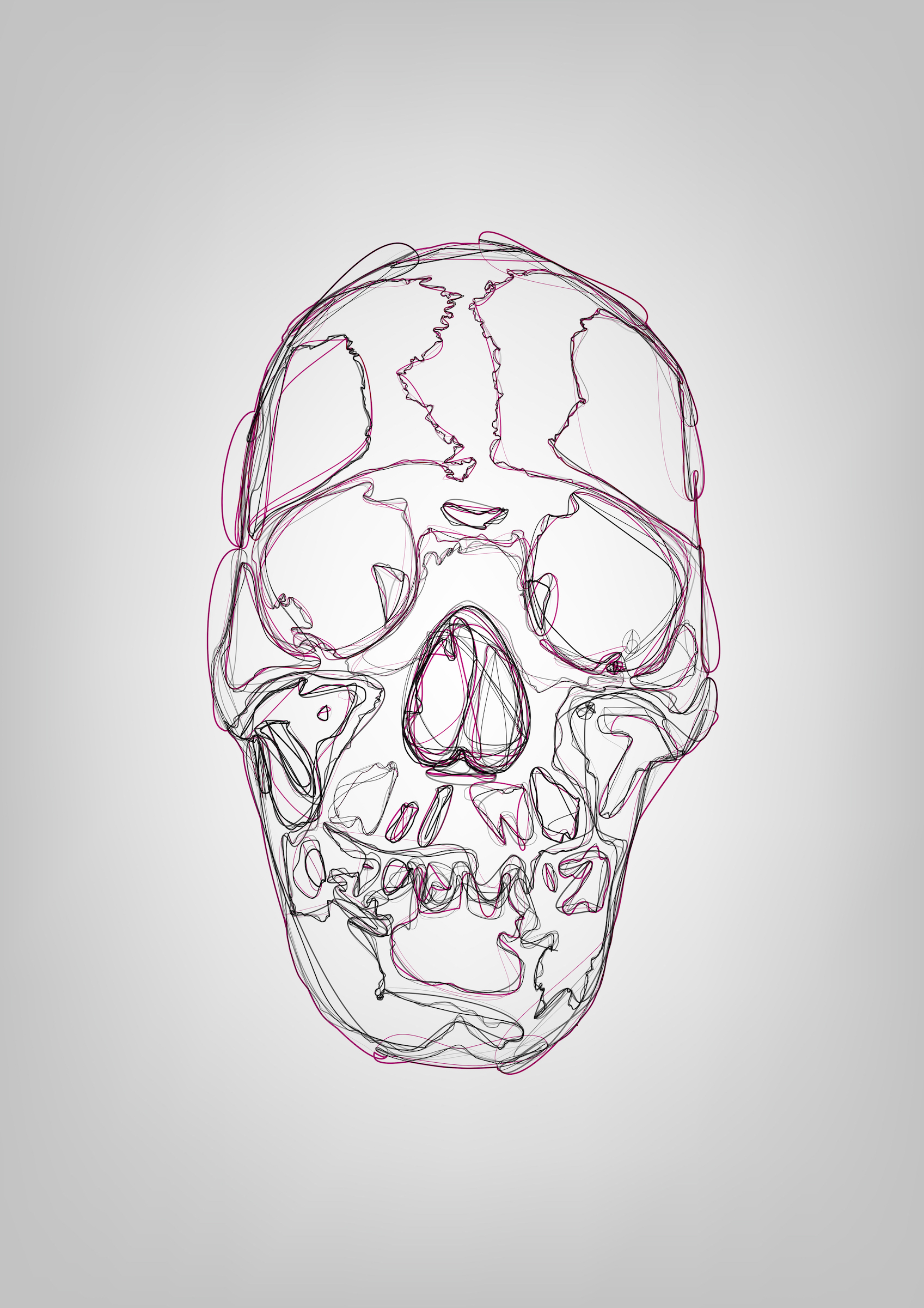 Skull.jpg