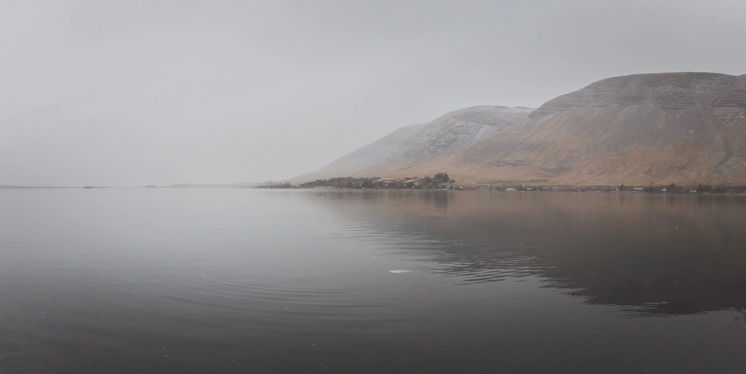 Last Winter - Photography