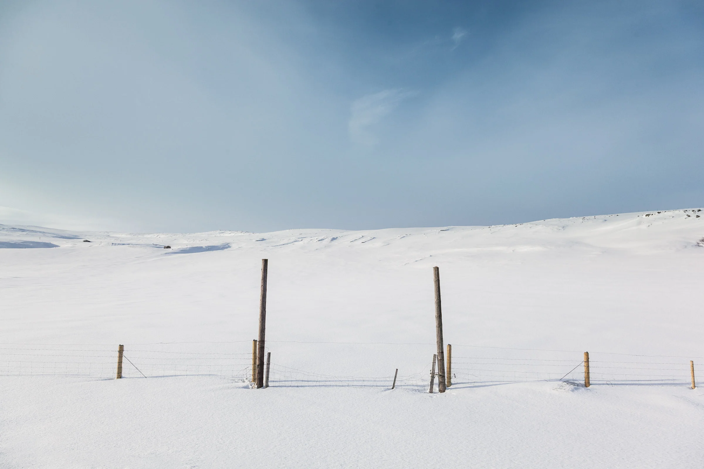 Last Winter - Photography