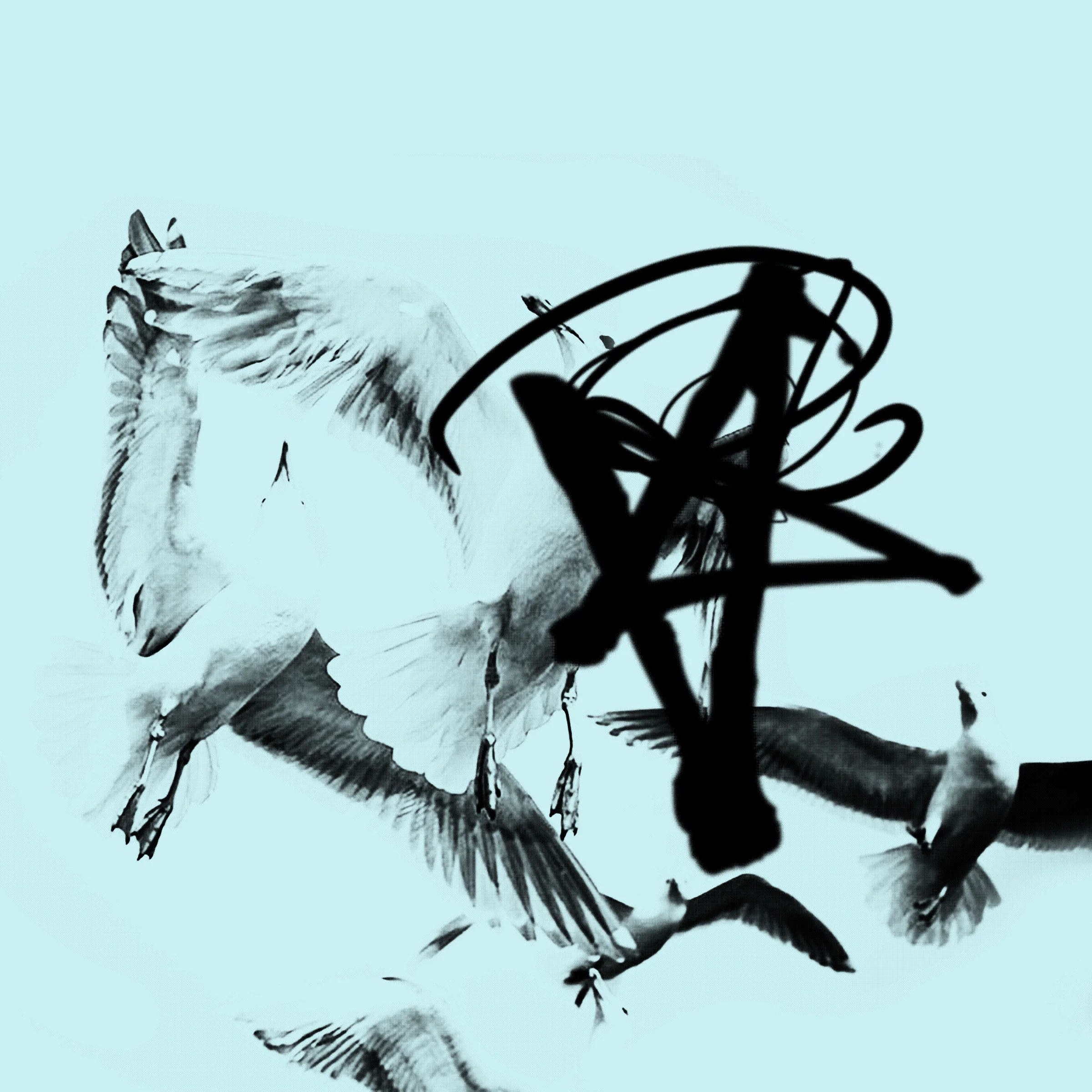 Birds.ai