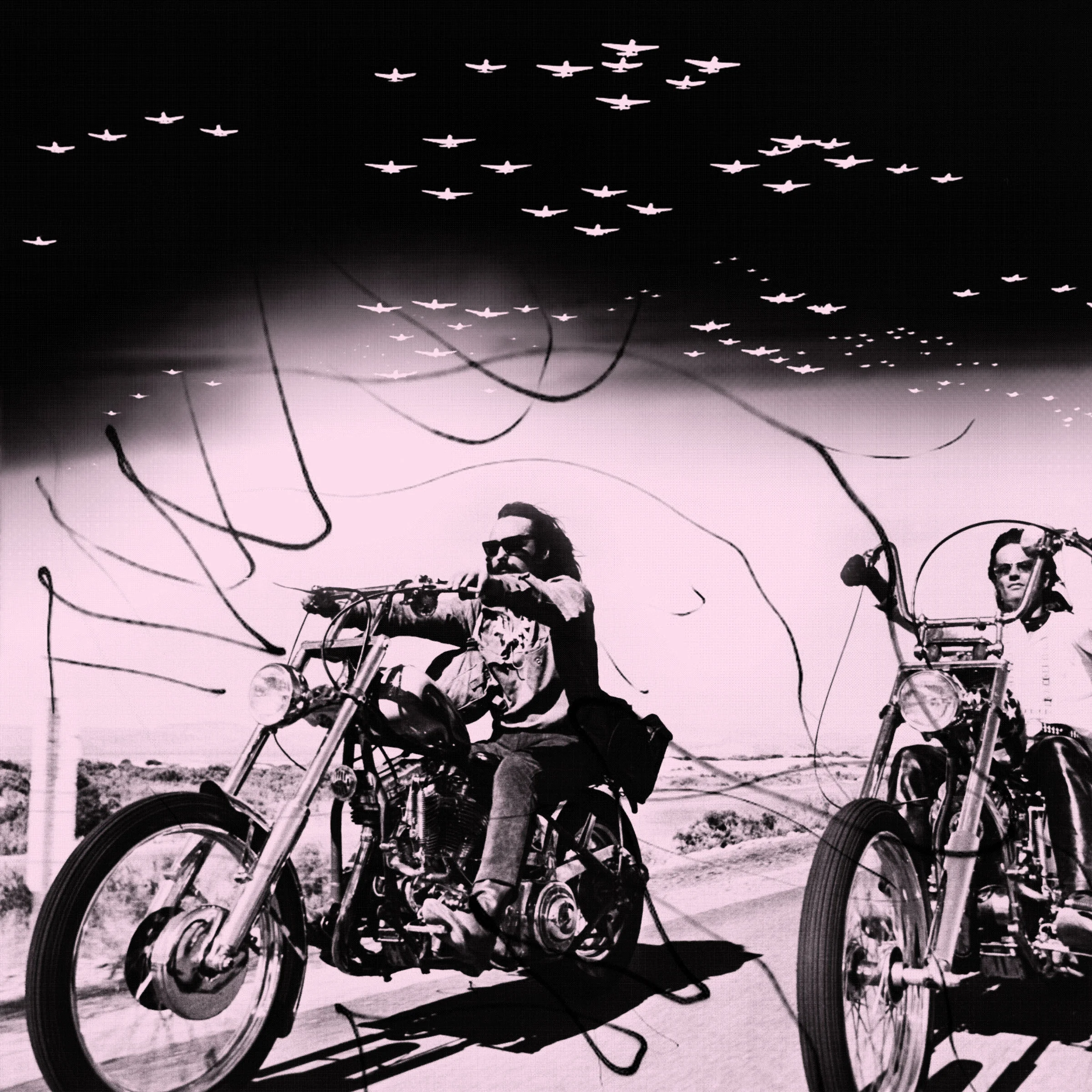 Easy Rider.ai