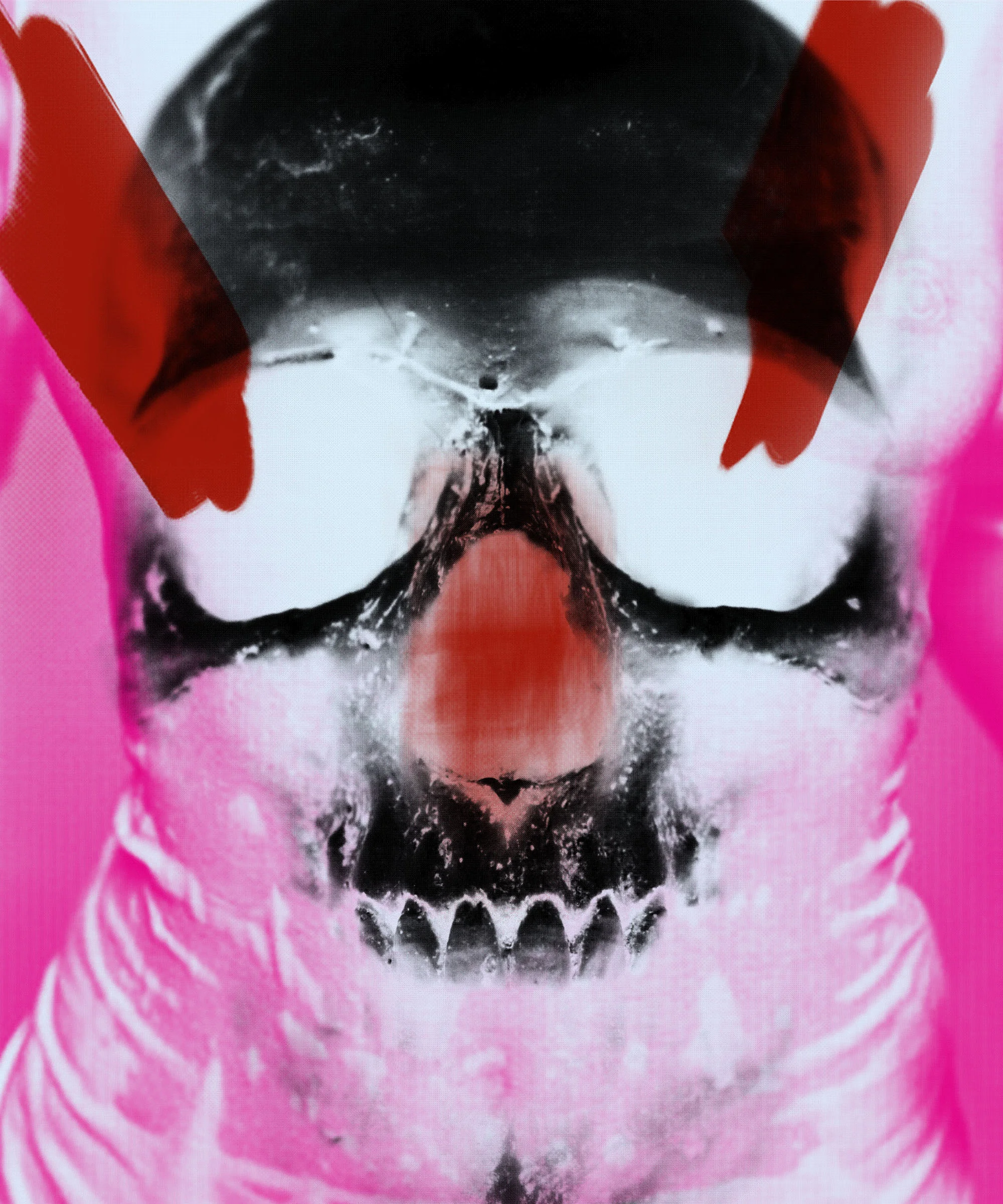 Skull Body.ai