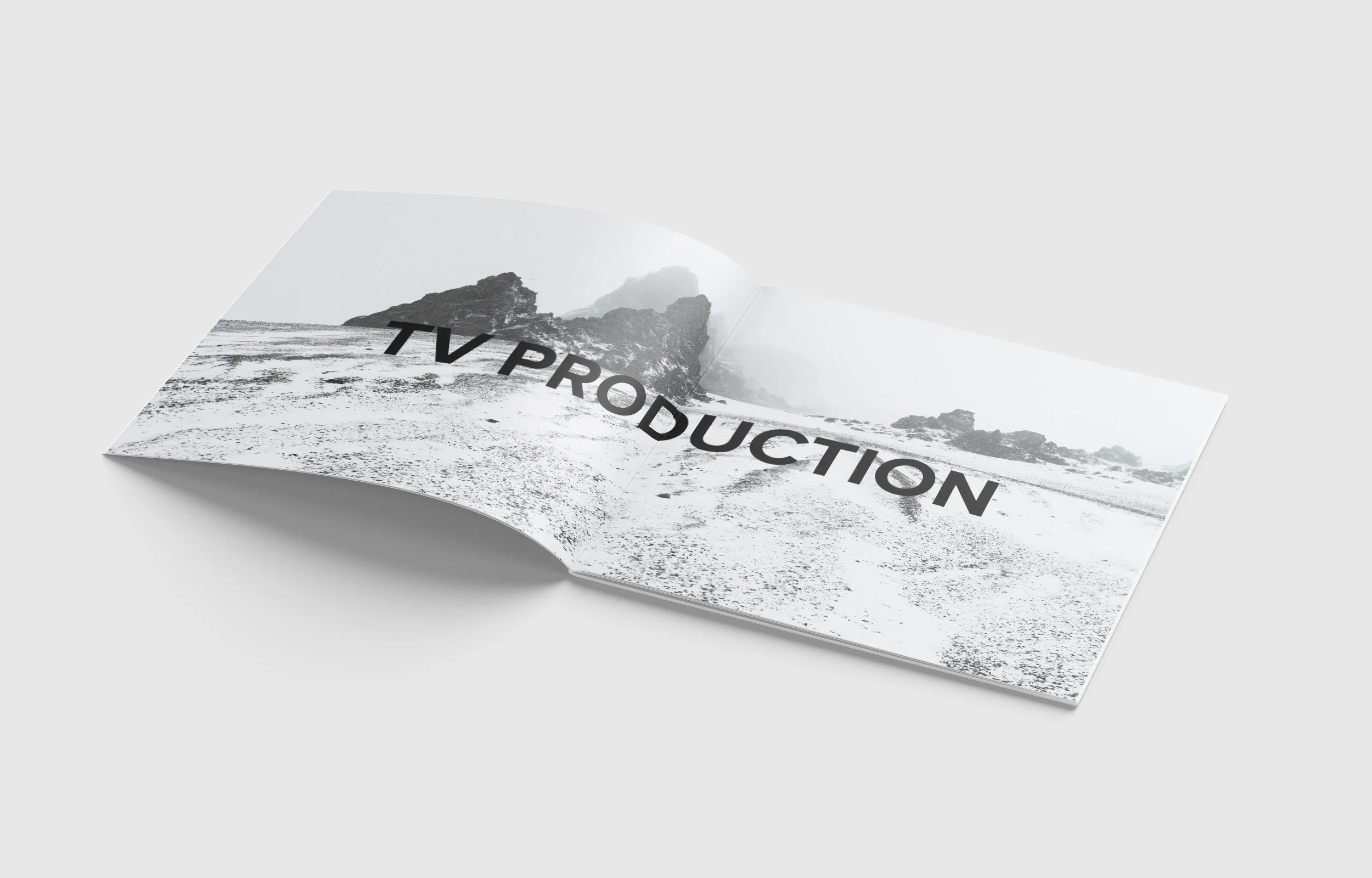 TN brochure.jpg