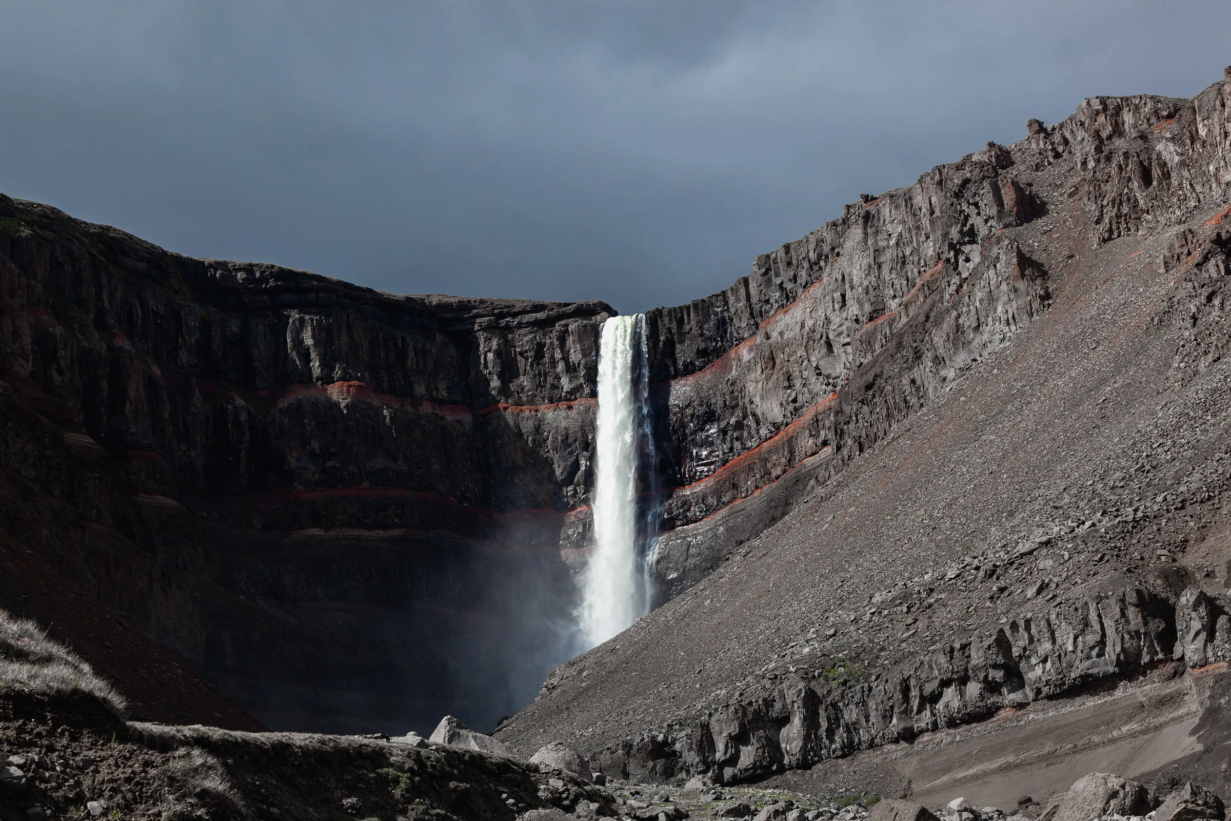 _MG_9595.jpg