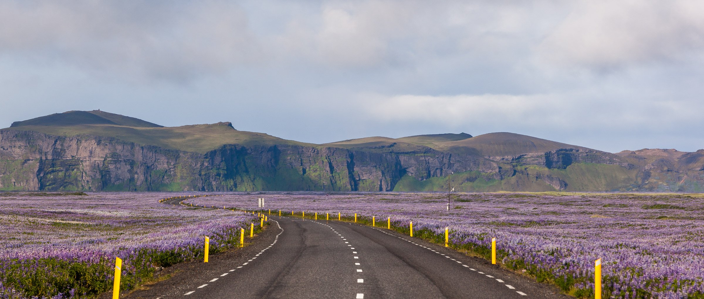 Lupin Road