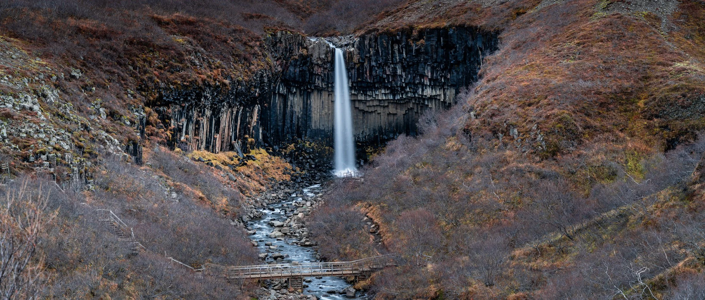 Svartifoss