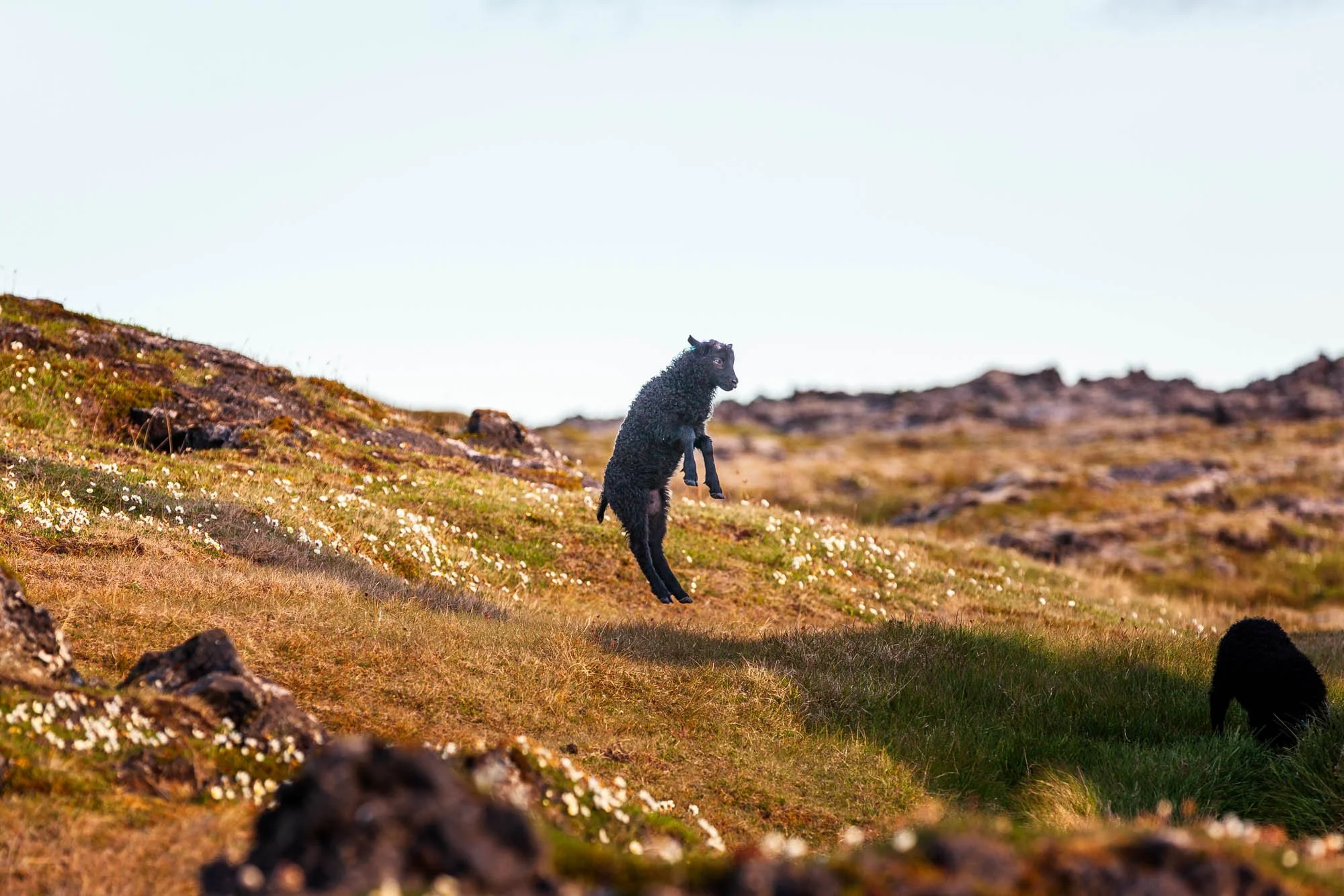 Figure Walking Through Moss and Lava - _MG_4703.jpg