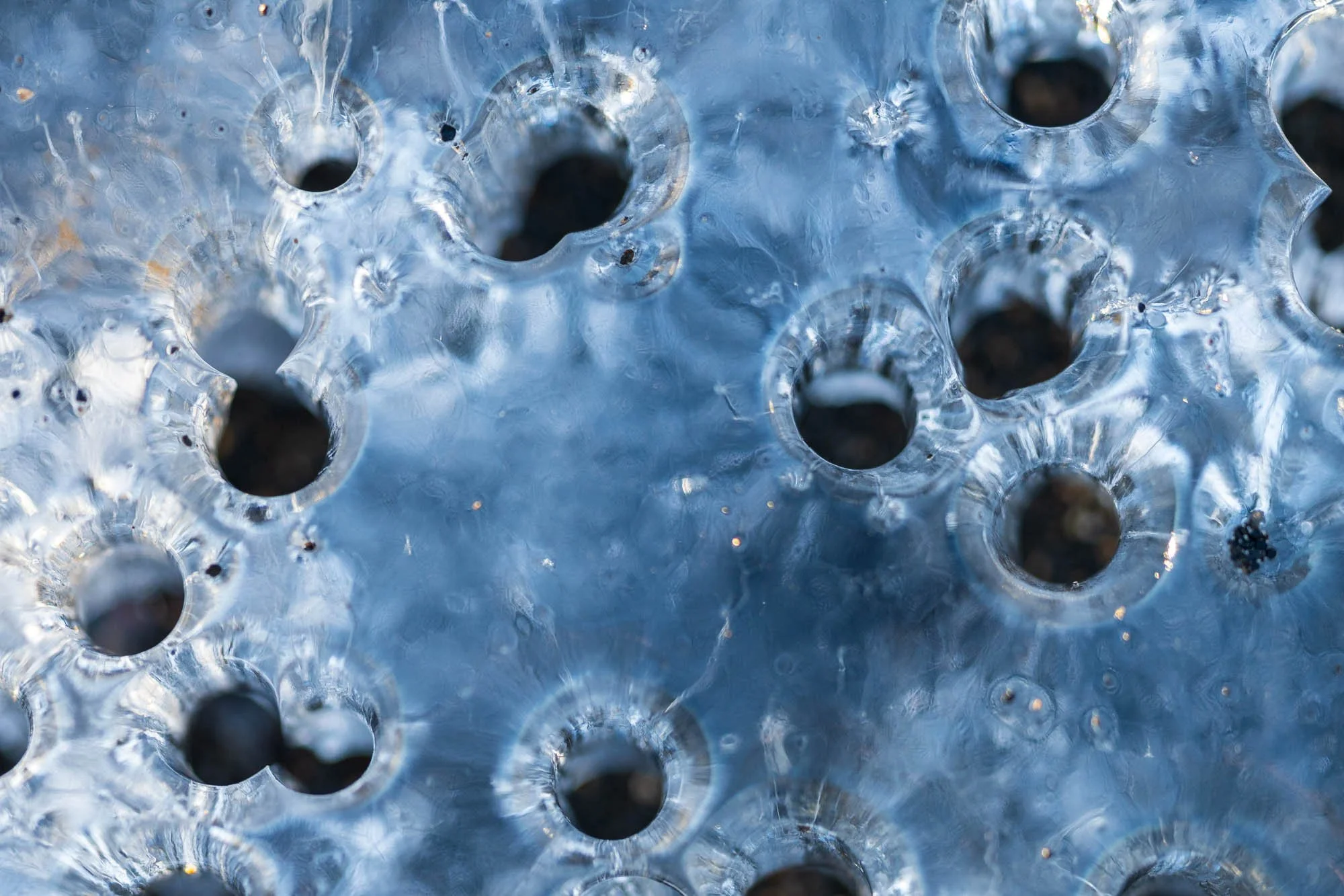 Frozen Ice - SIG04865.jpg