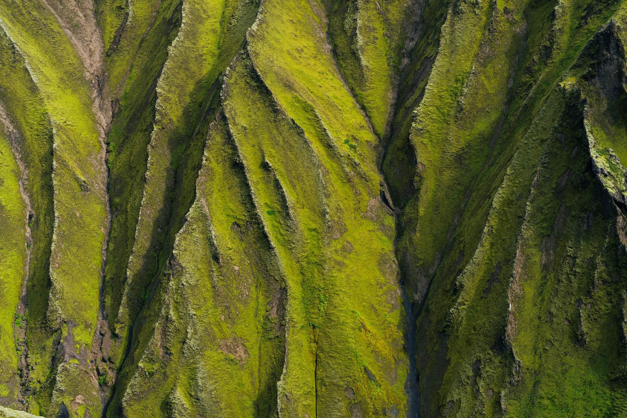 Green Ridges in the Laki Landscape - SIG02014.jpg